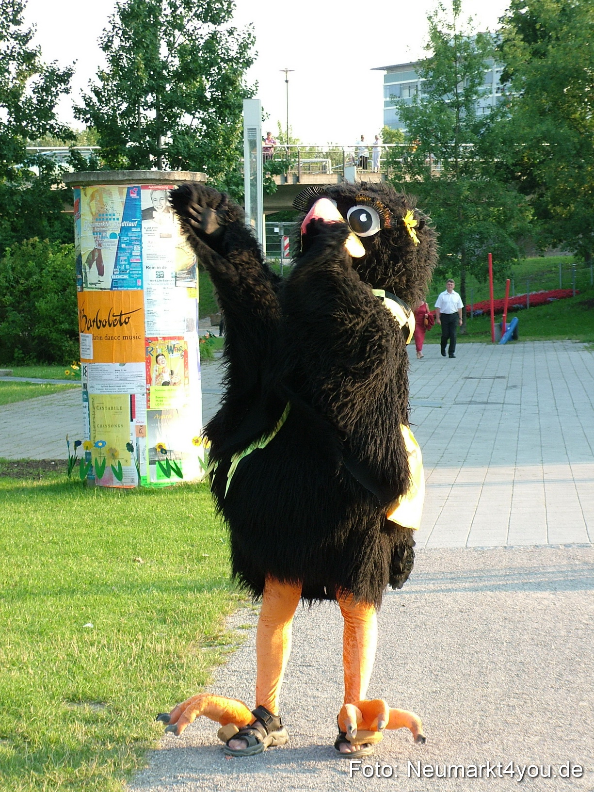 Latin Summer Night 002