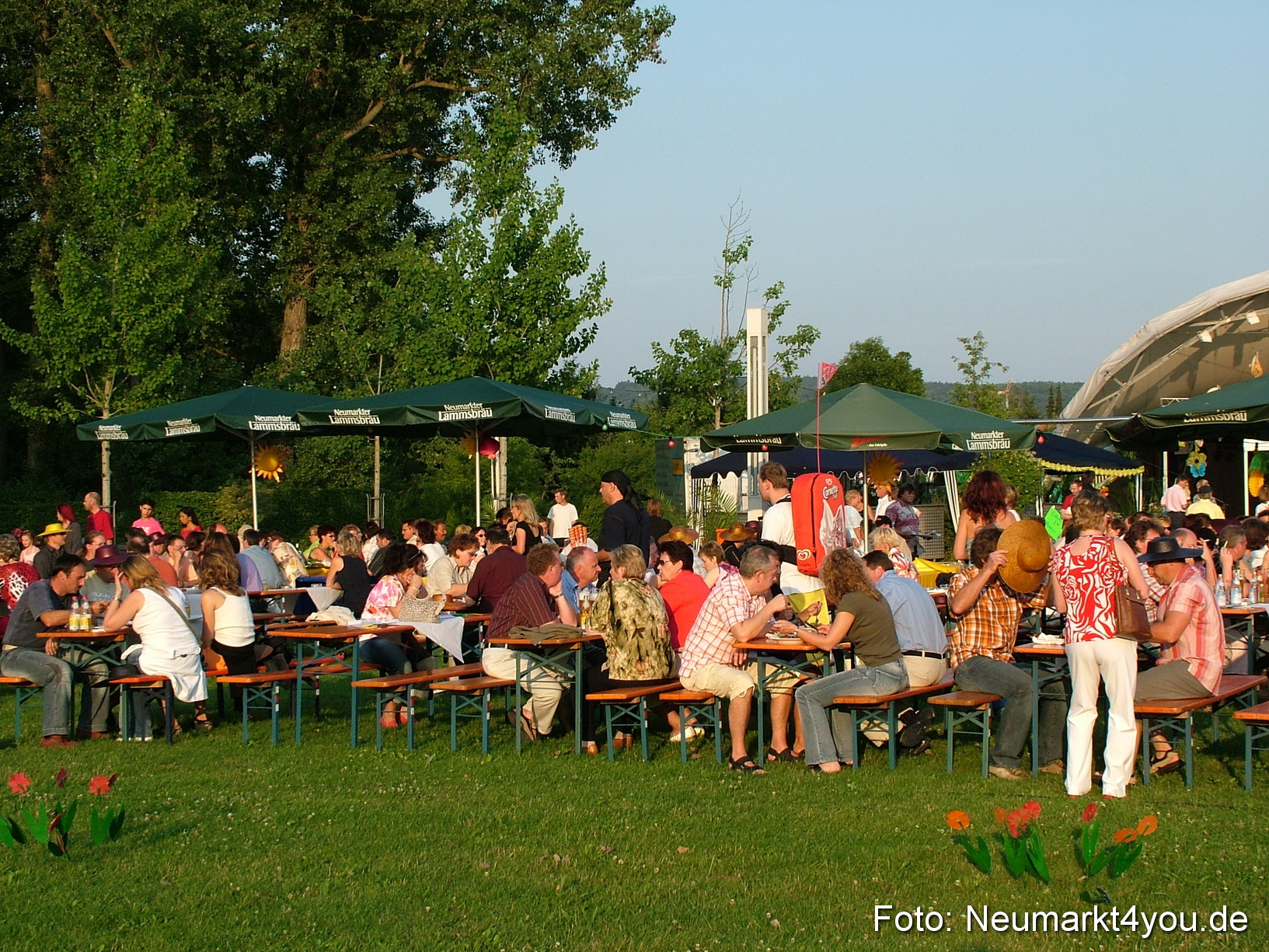 Latin Summer Night 004