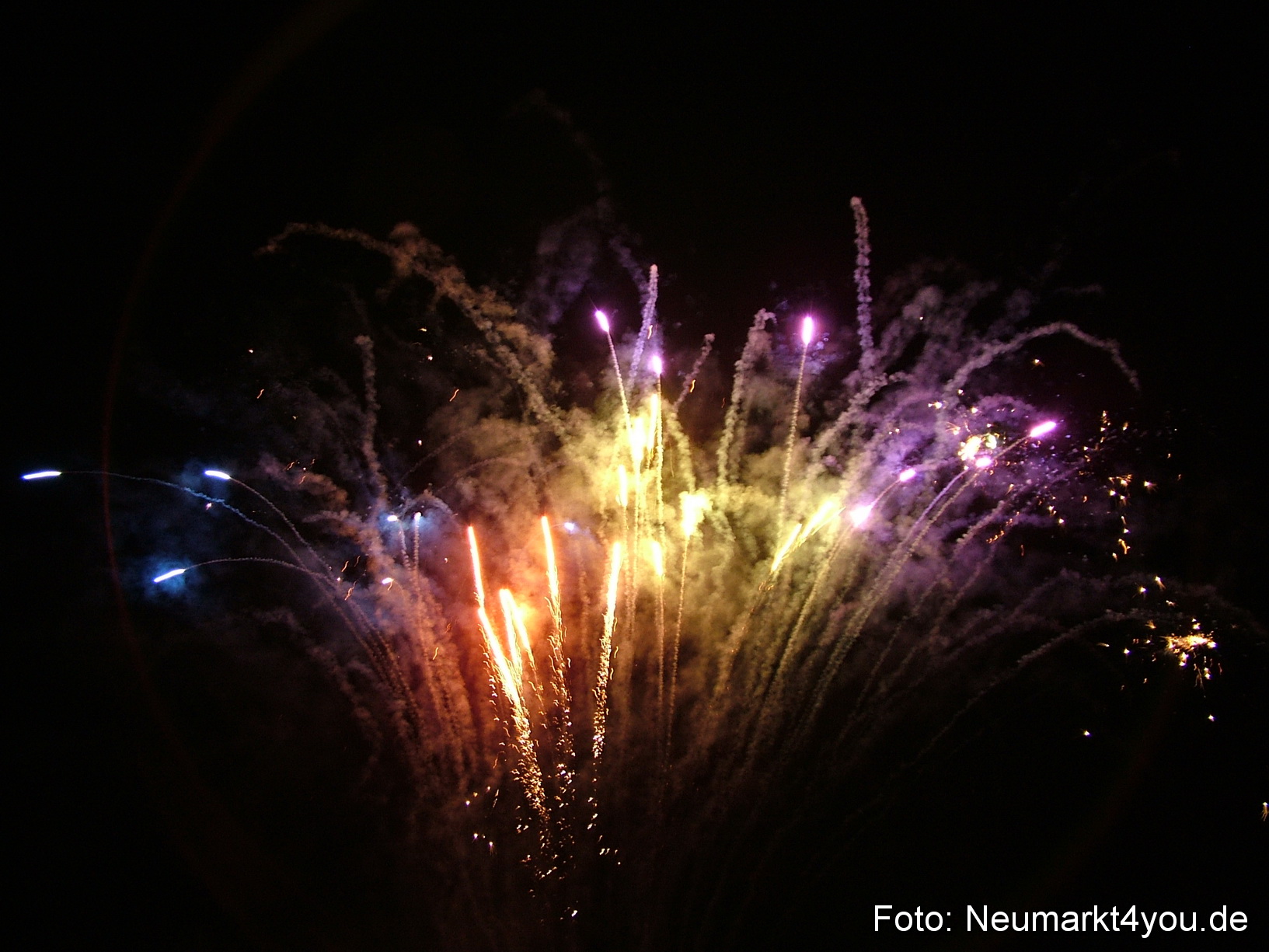 Latin Summer Night 033