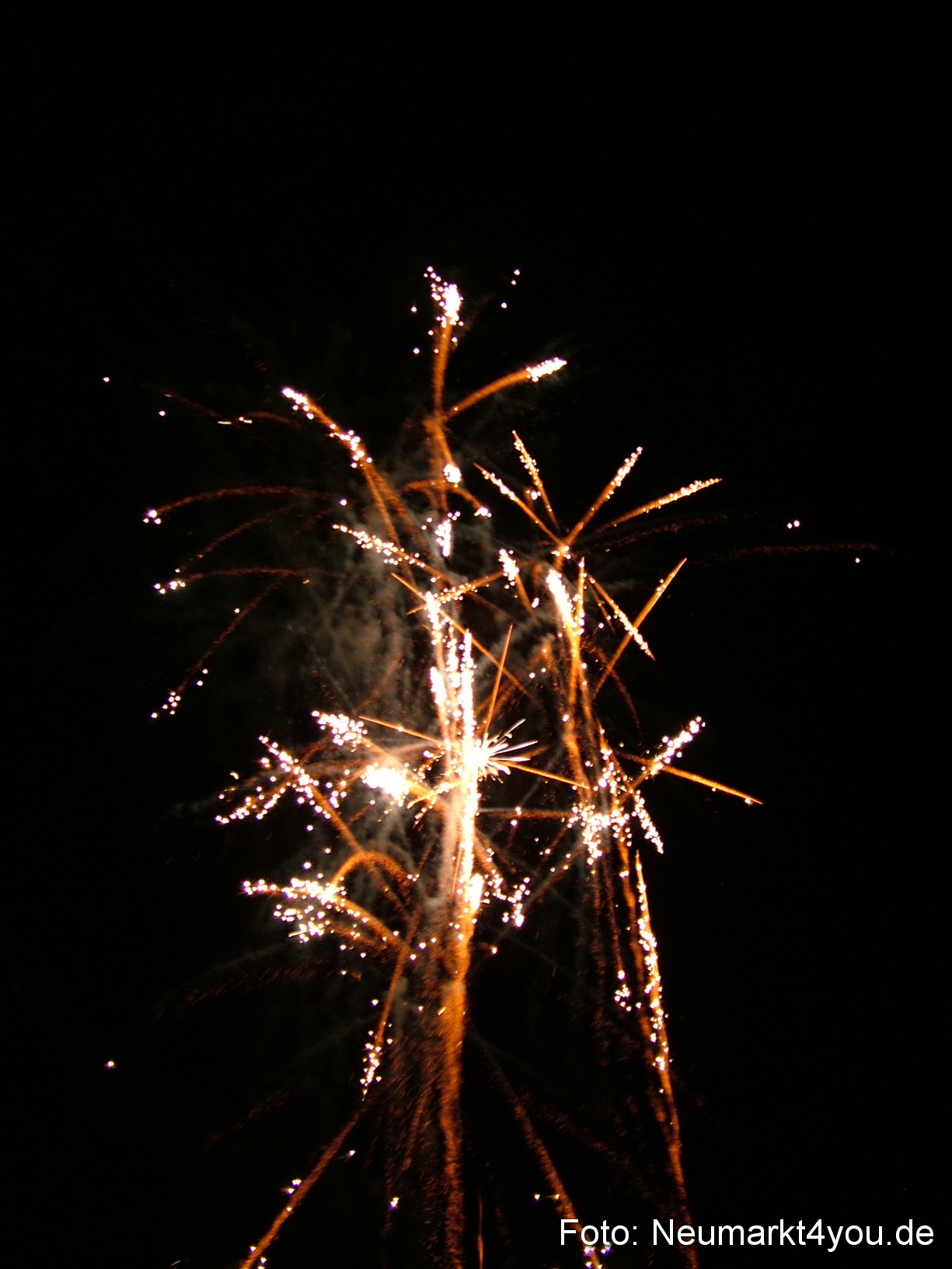 Latin Summer Night 038