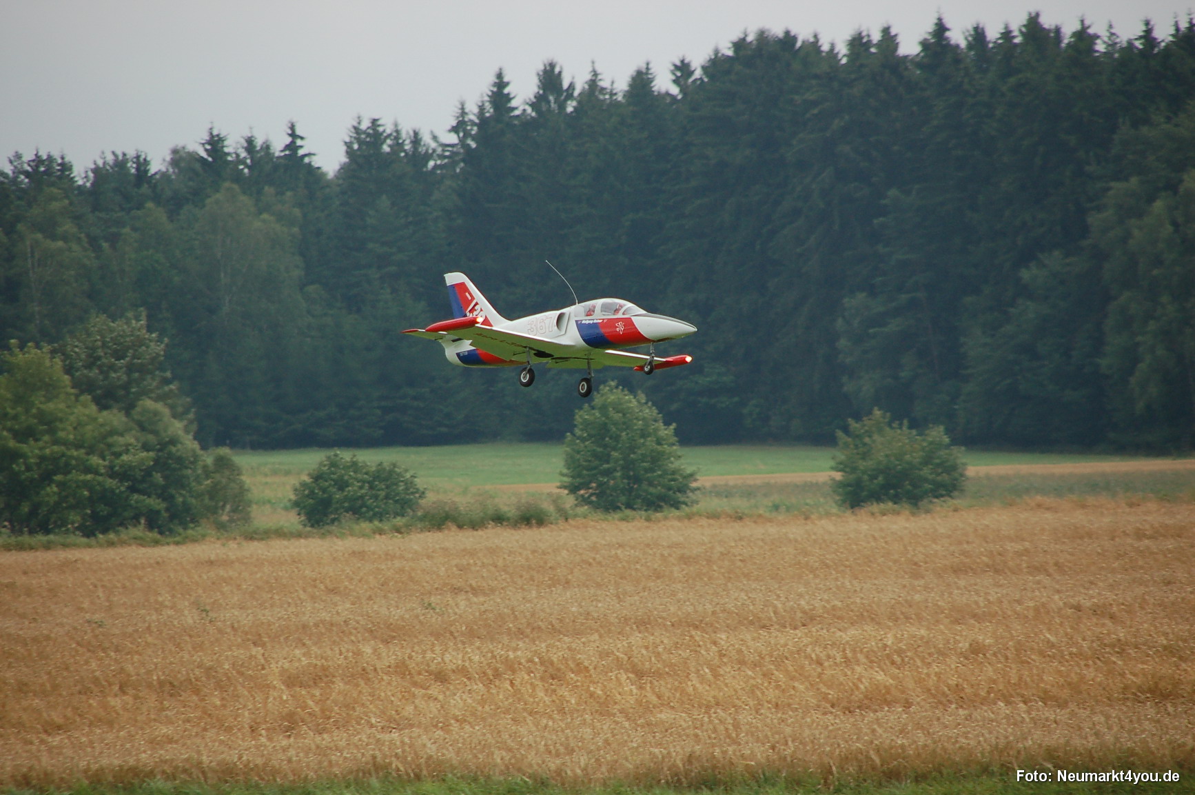 0240 Grossmodellflugtag Hemau 060806