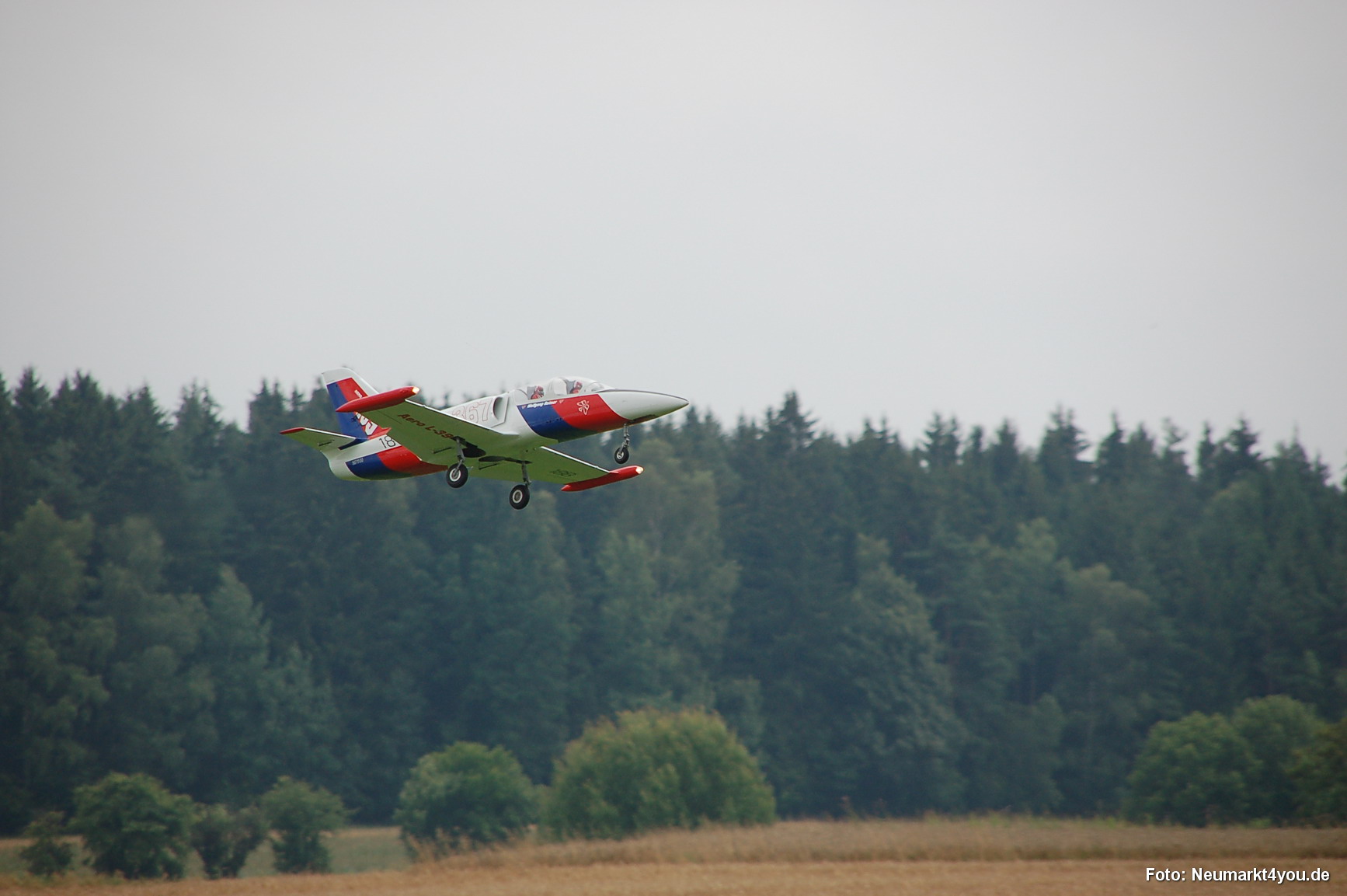 0250 Grossmodellflugtag Hemau 060806