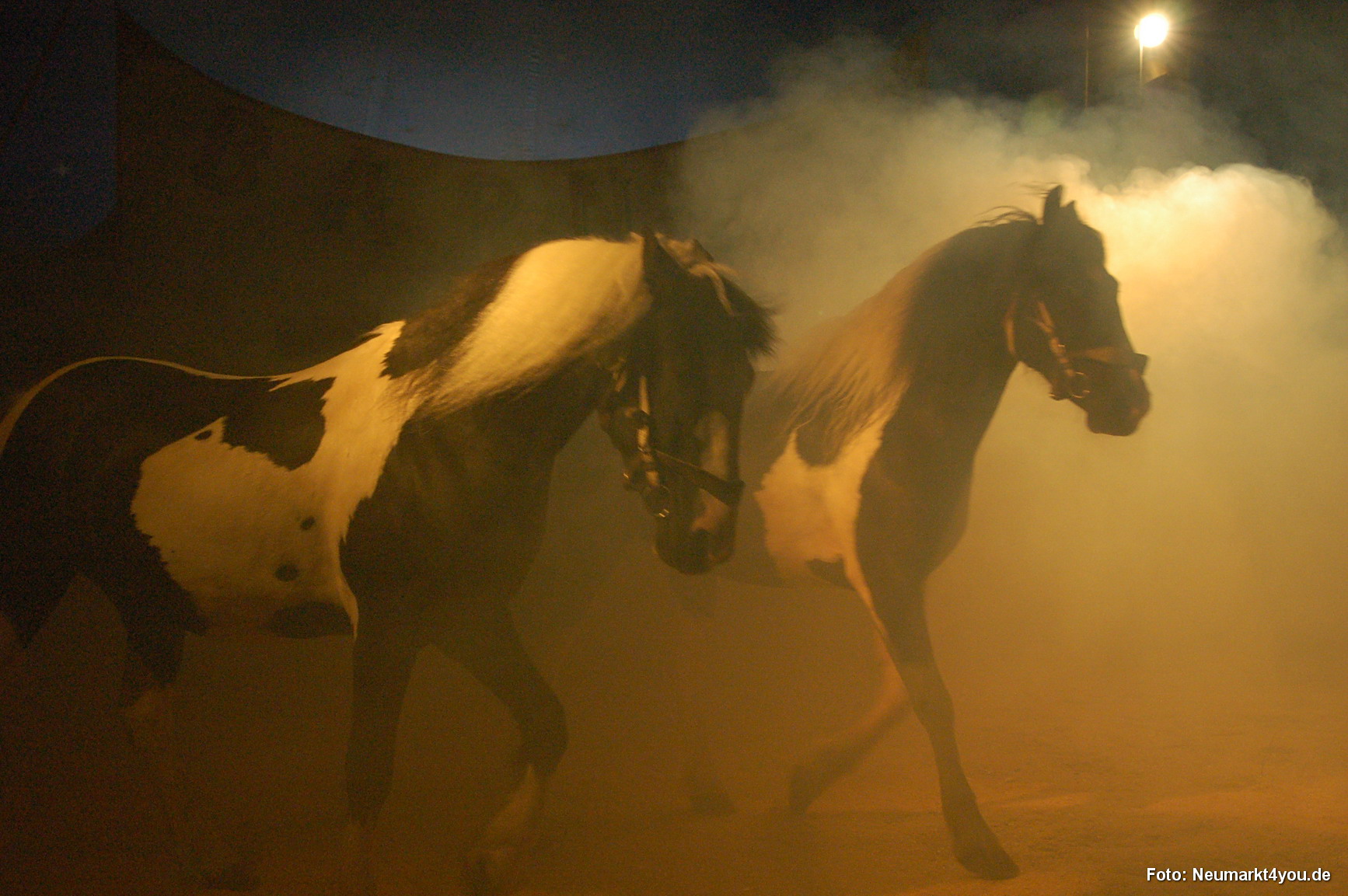 0030 Circus Berlin 280706