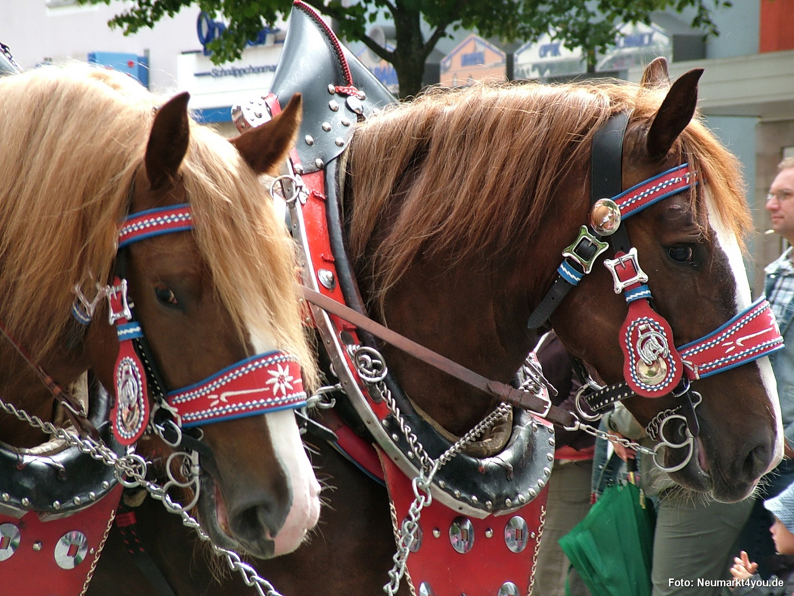 0595 Volksfestzug 130806