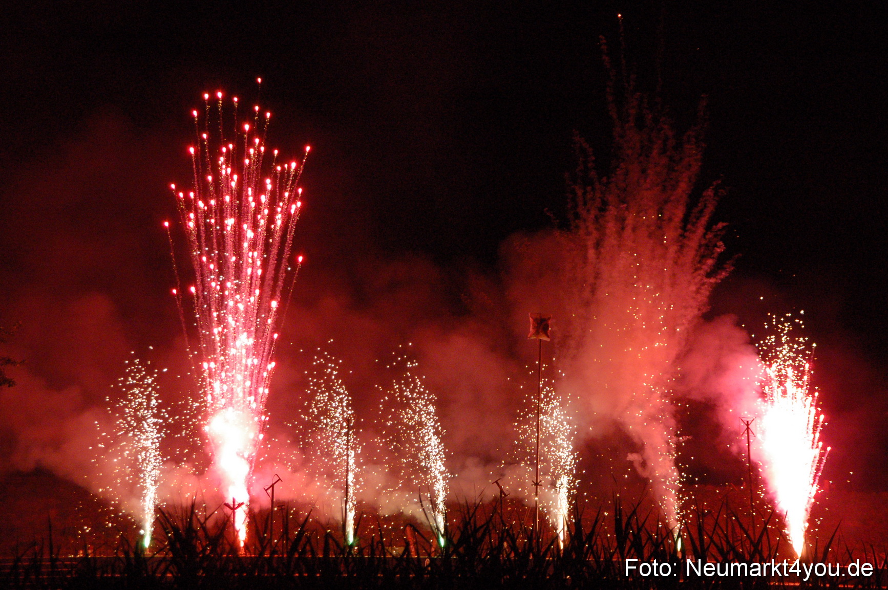 0240 Franzoesischer Sommerball 080706