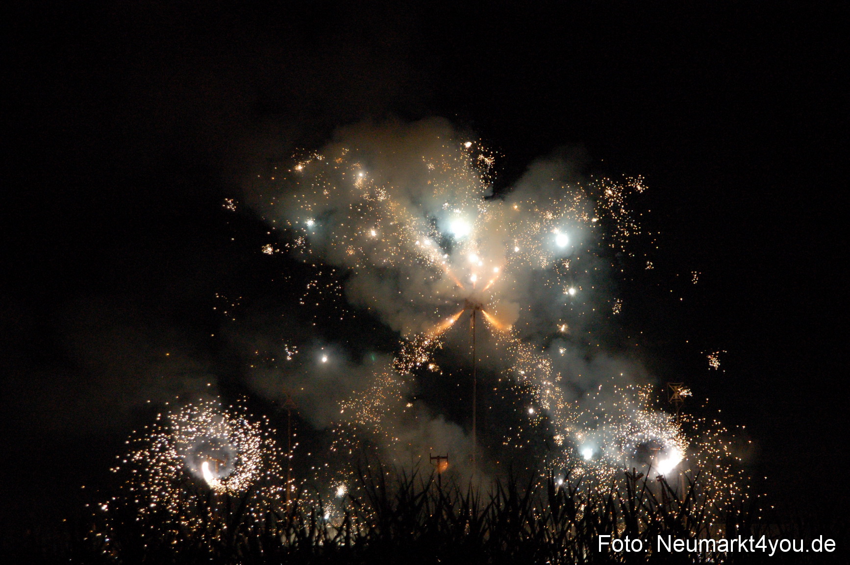 0245 Franzoesischer Sommerball 080706