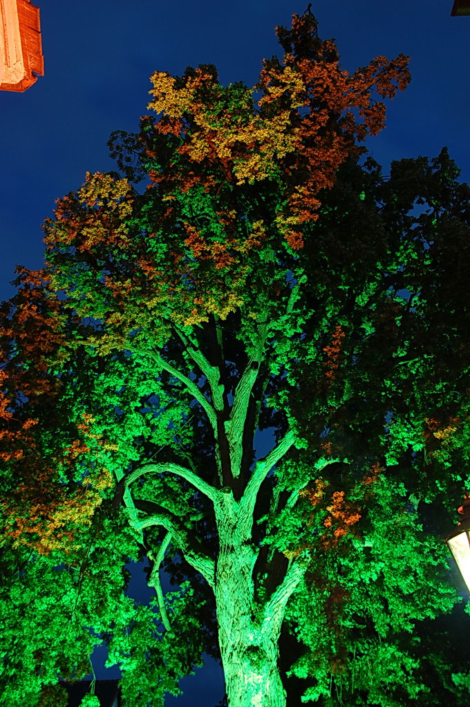 10125 Berchinale 220607