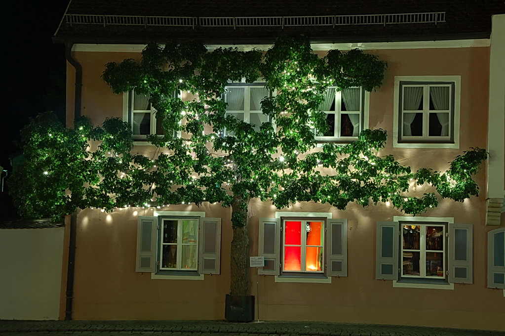 10249 Berchinale 220607