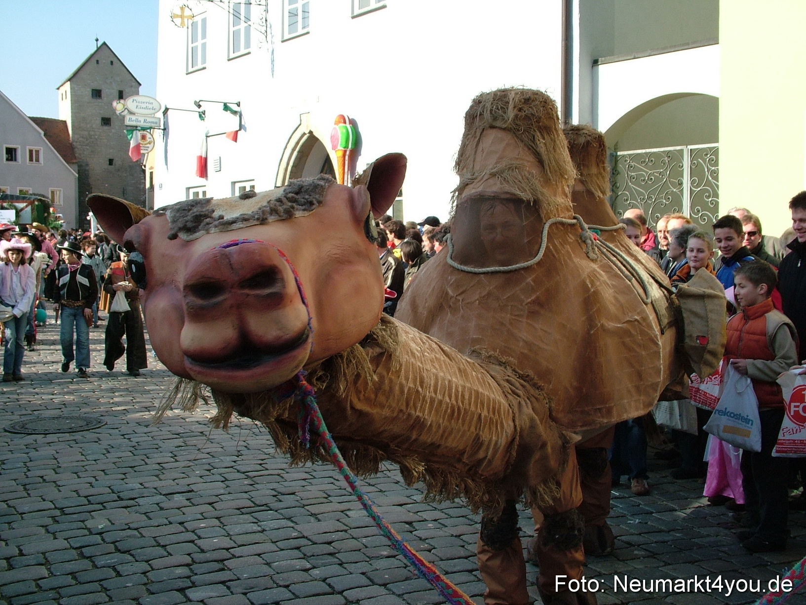 Faschigszug Berching 031