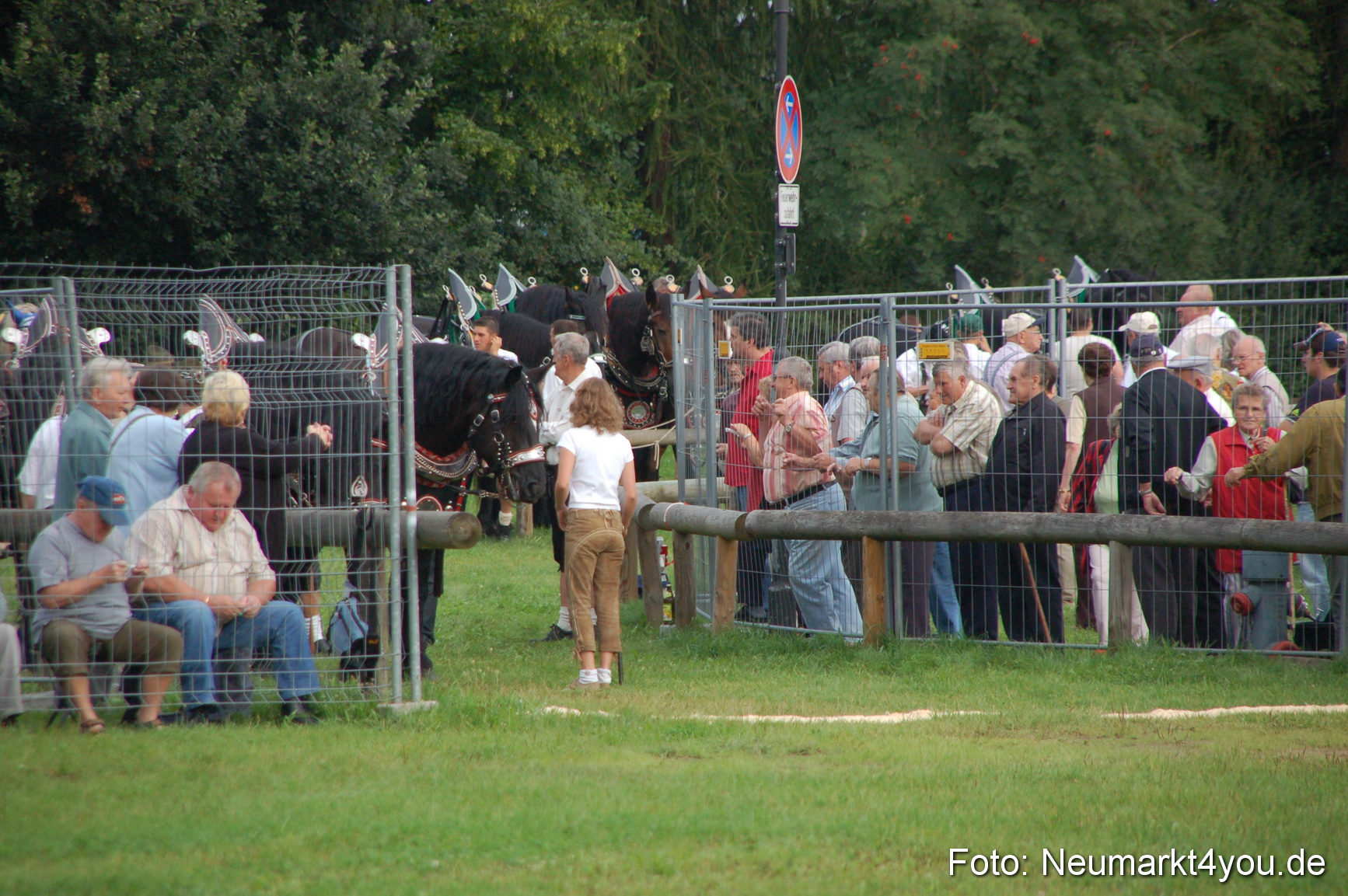 0007 Pferde Fohlenschau 200807