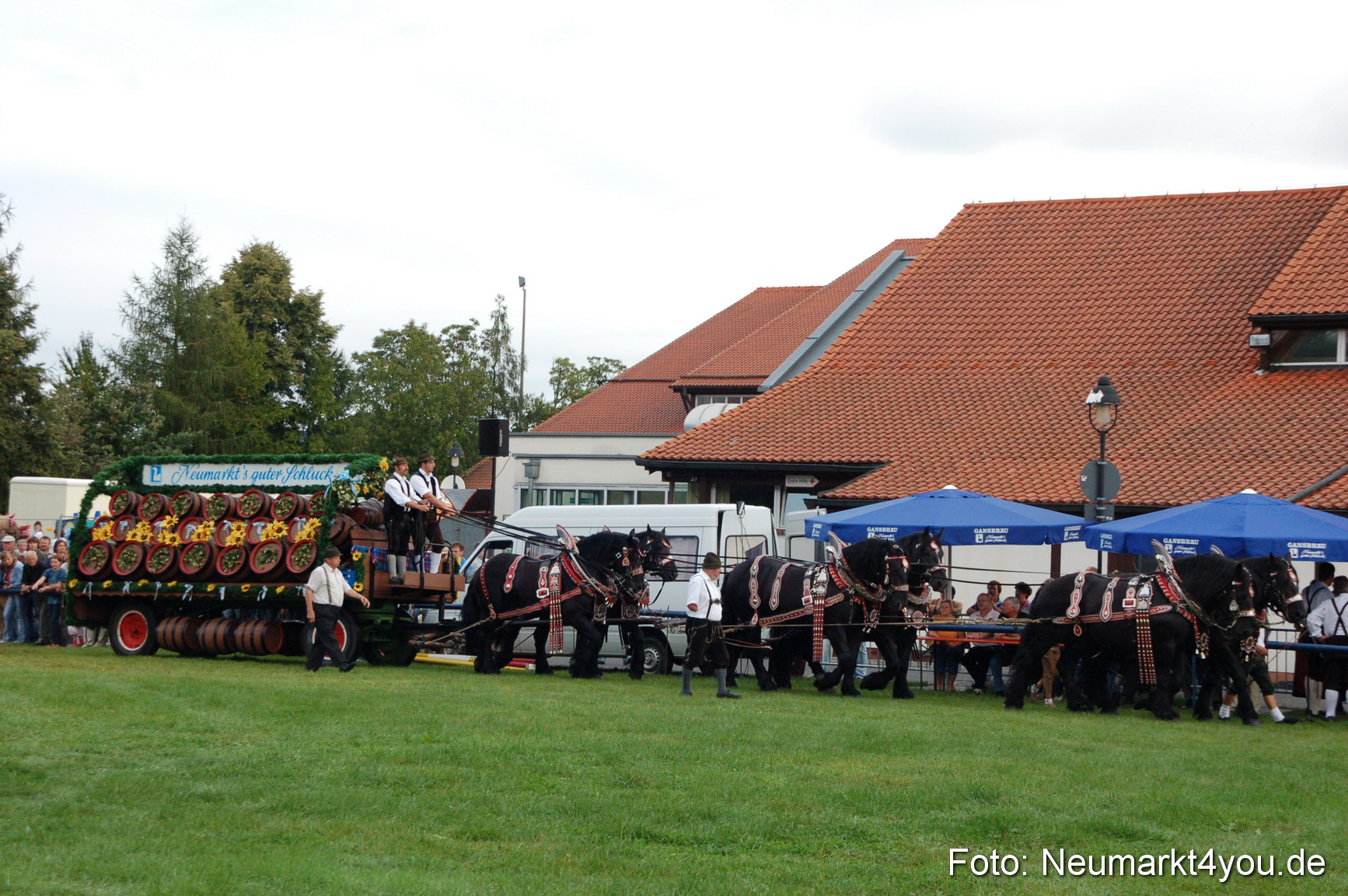 0009 Pferde Fohlenschau 200807