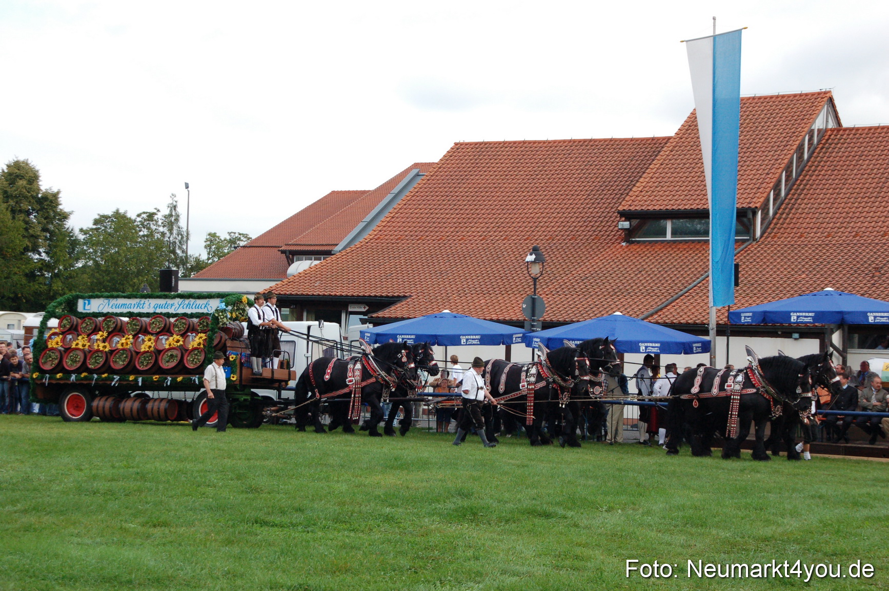 0010 Pferde Fohlenschau 200807