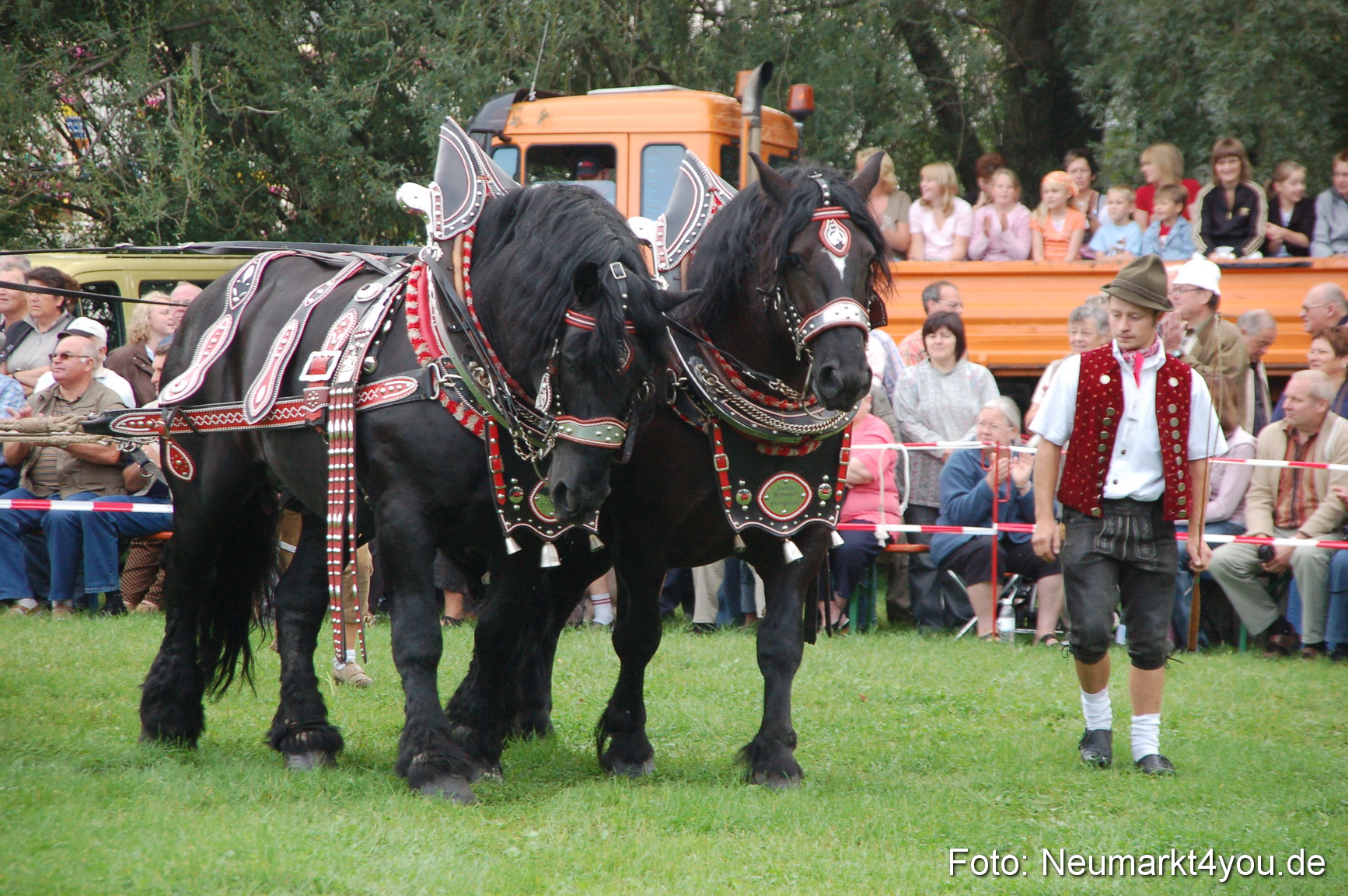 0014 Pferde Fohlenschau 200807