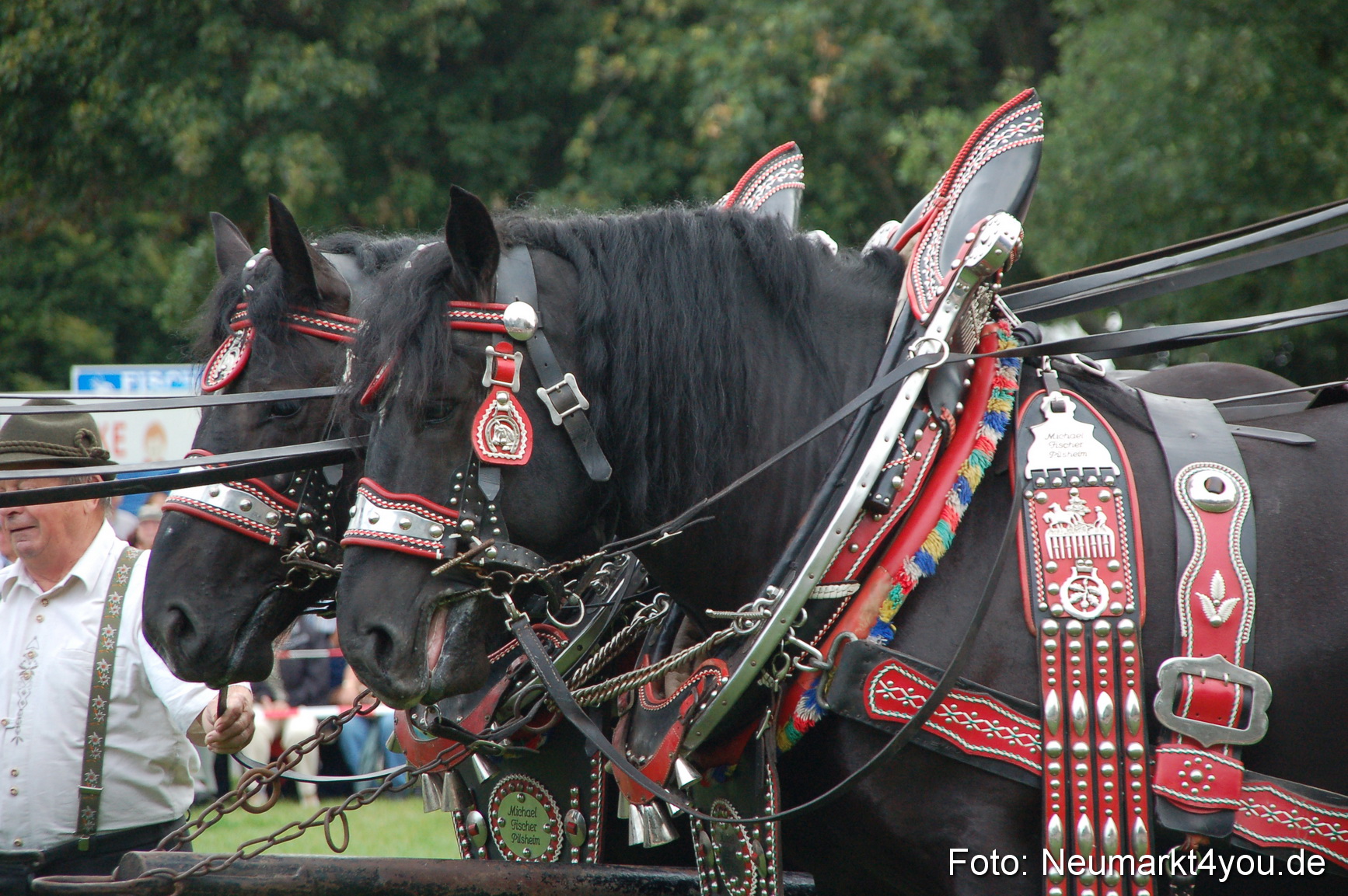 0019 Pferde Fohlenschau 200807