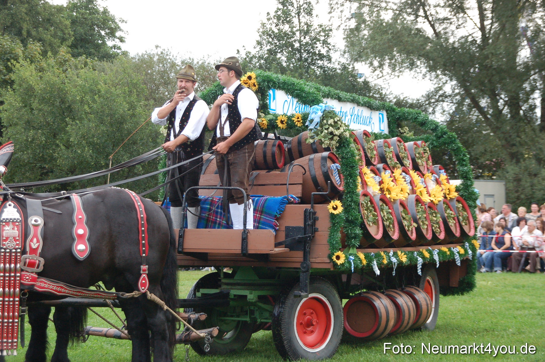 0020 Pferde Fohlenschau 200807