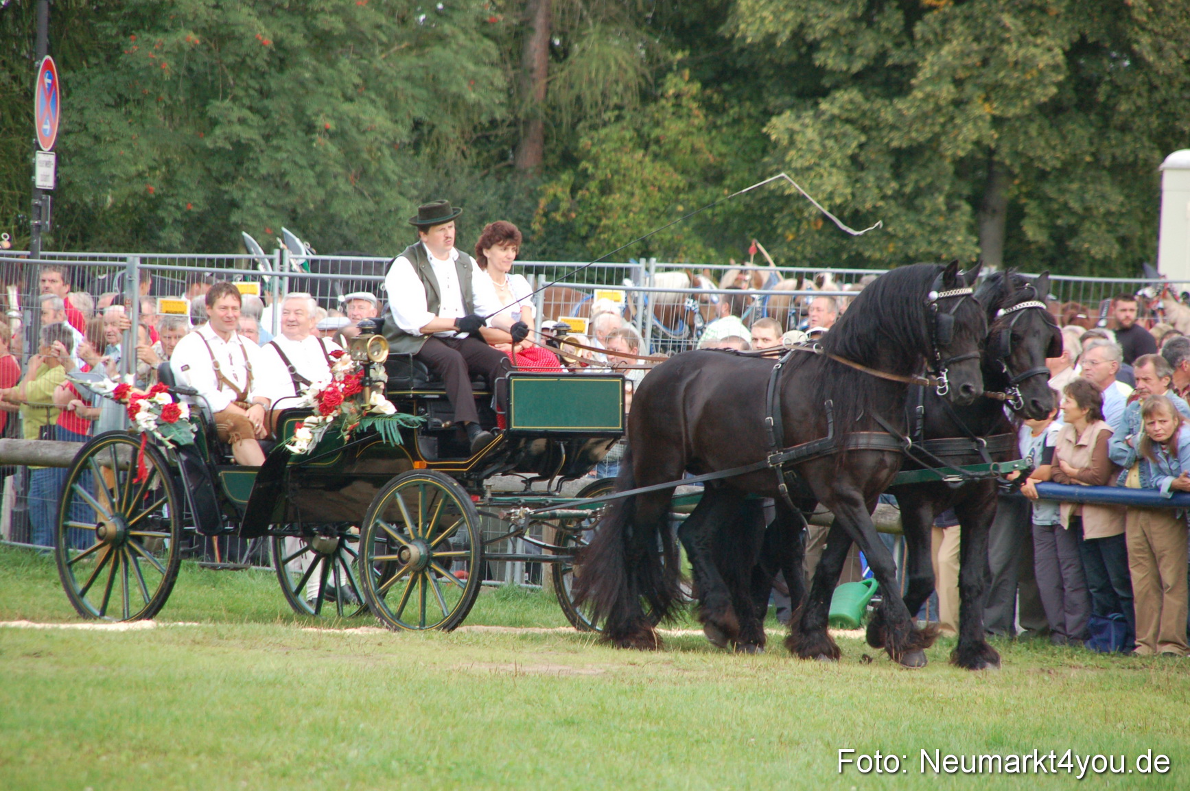 0023 Pferde Fohlenschau 200807