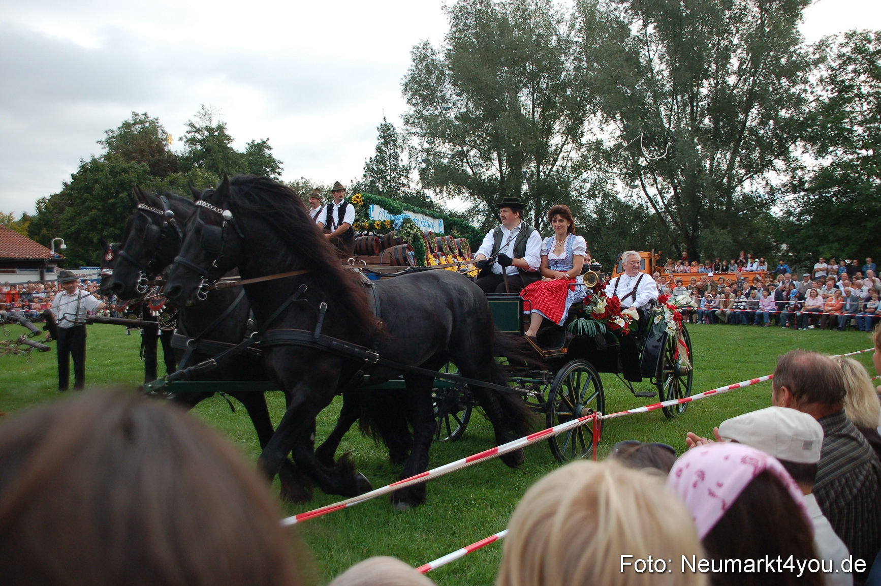 0025 Pferde Fohlenschau 200807