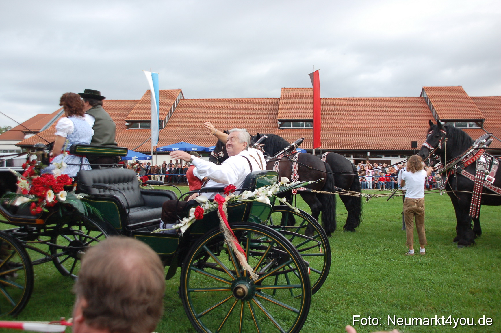 0028 Pferde Fohlenschau 200807