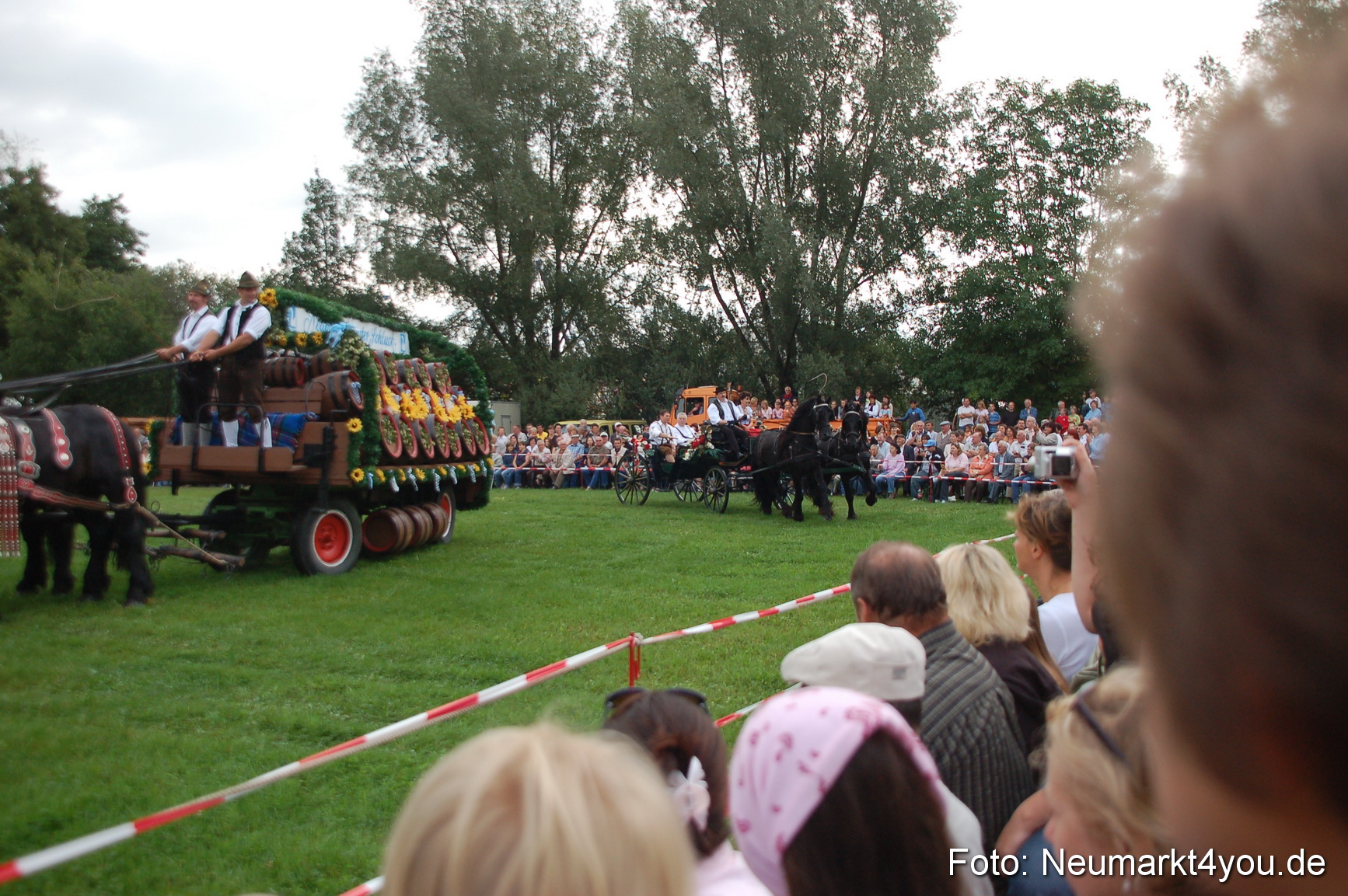 0029 Pferde Fohlenschau 200807