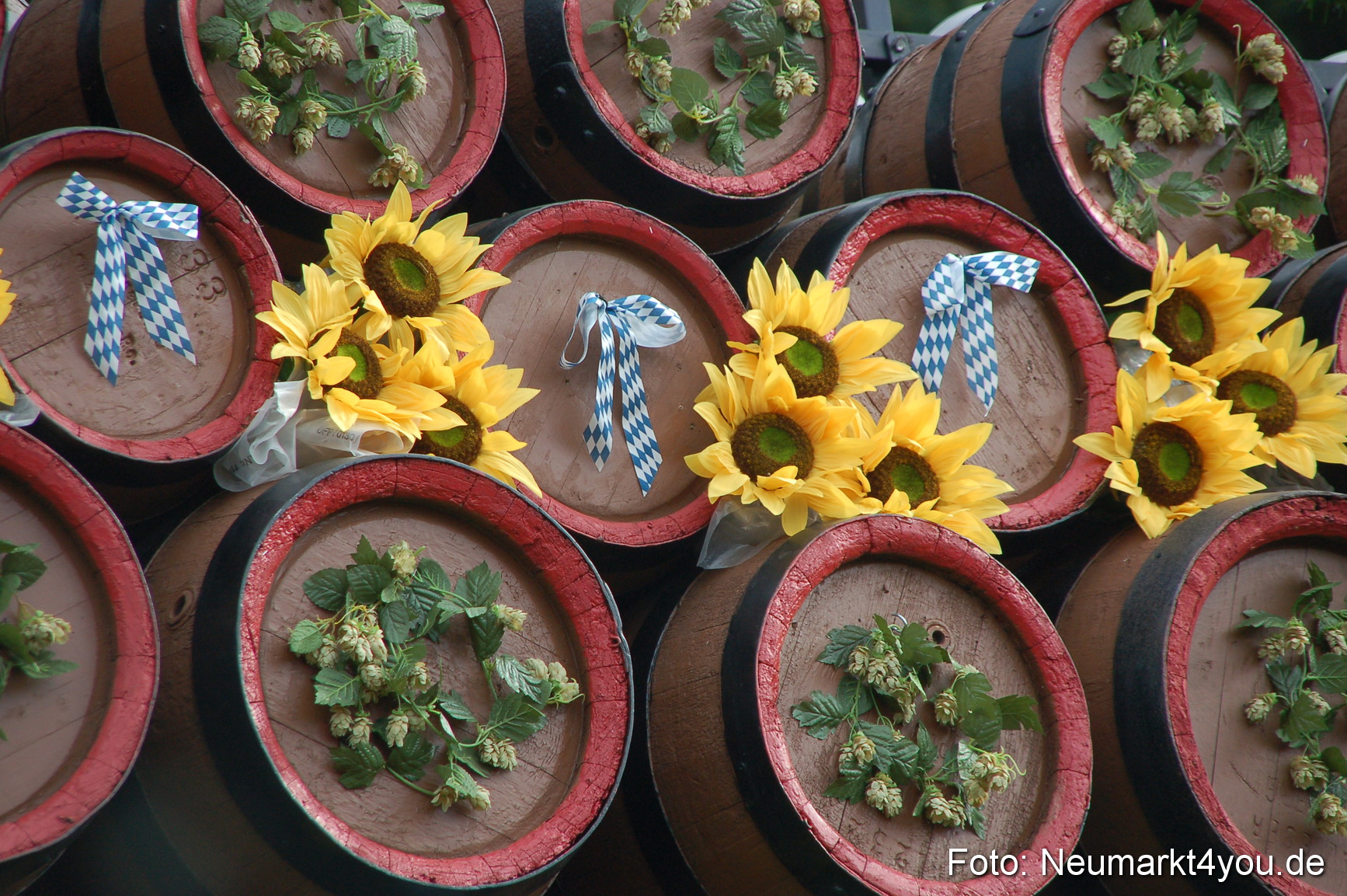 0040 Pferde Fohlenschau 200807