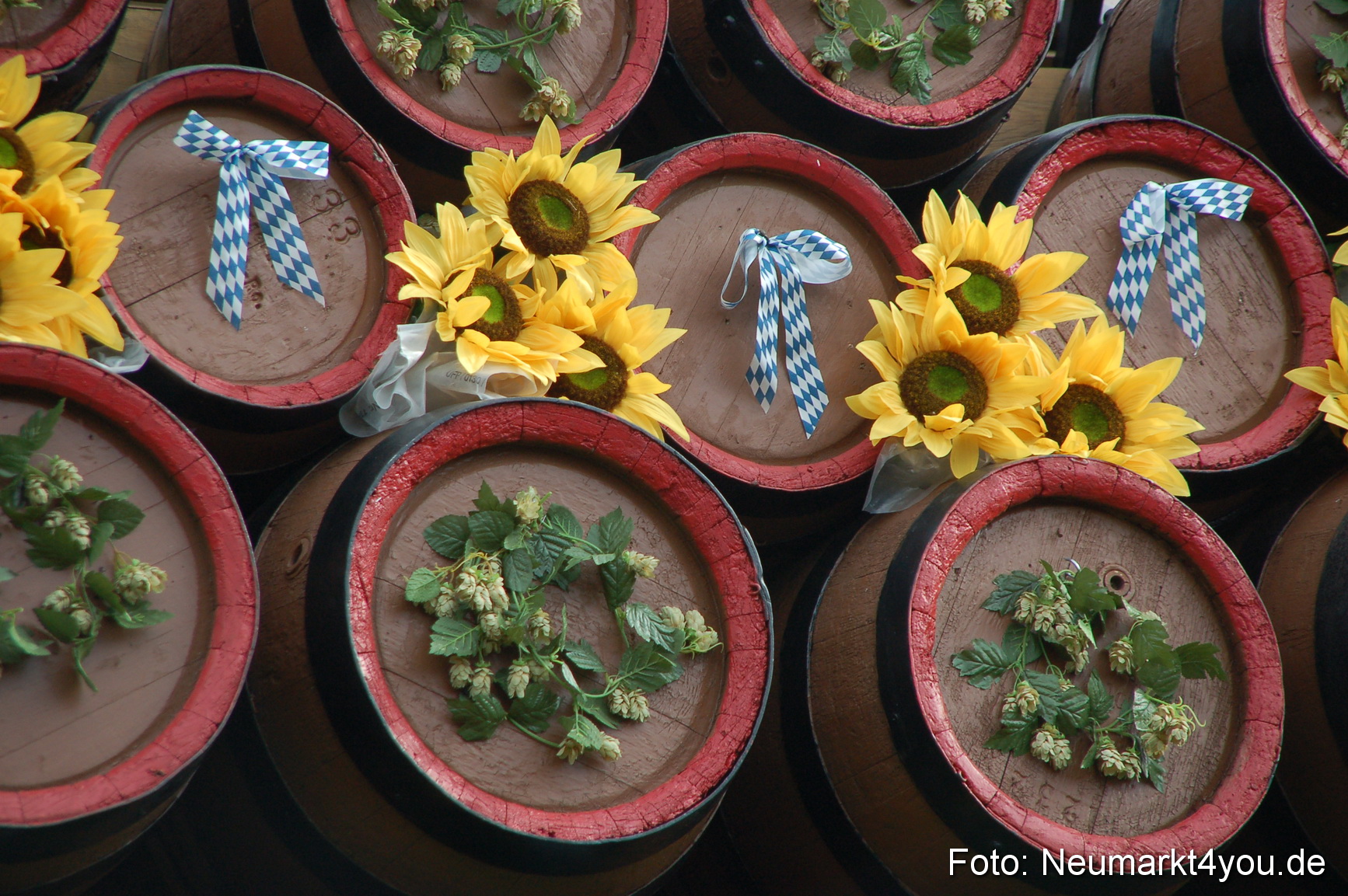 0041 Pferde Fohlenschau 200807