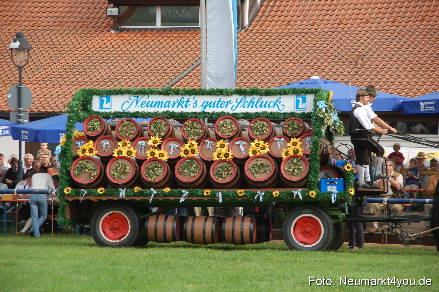 0045 Pferde Fohlenschau 200807