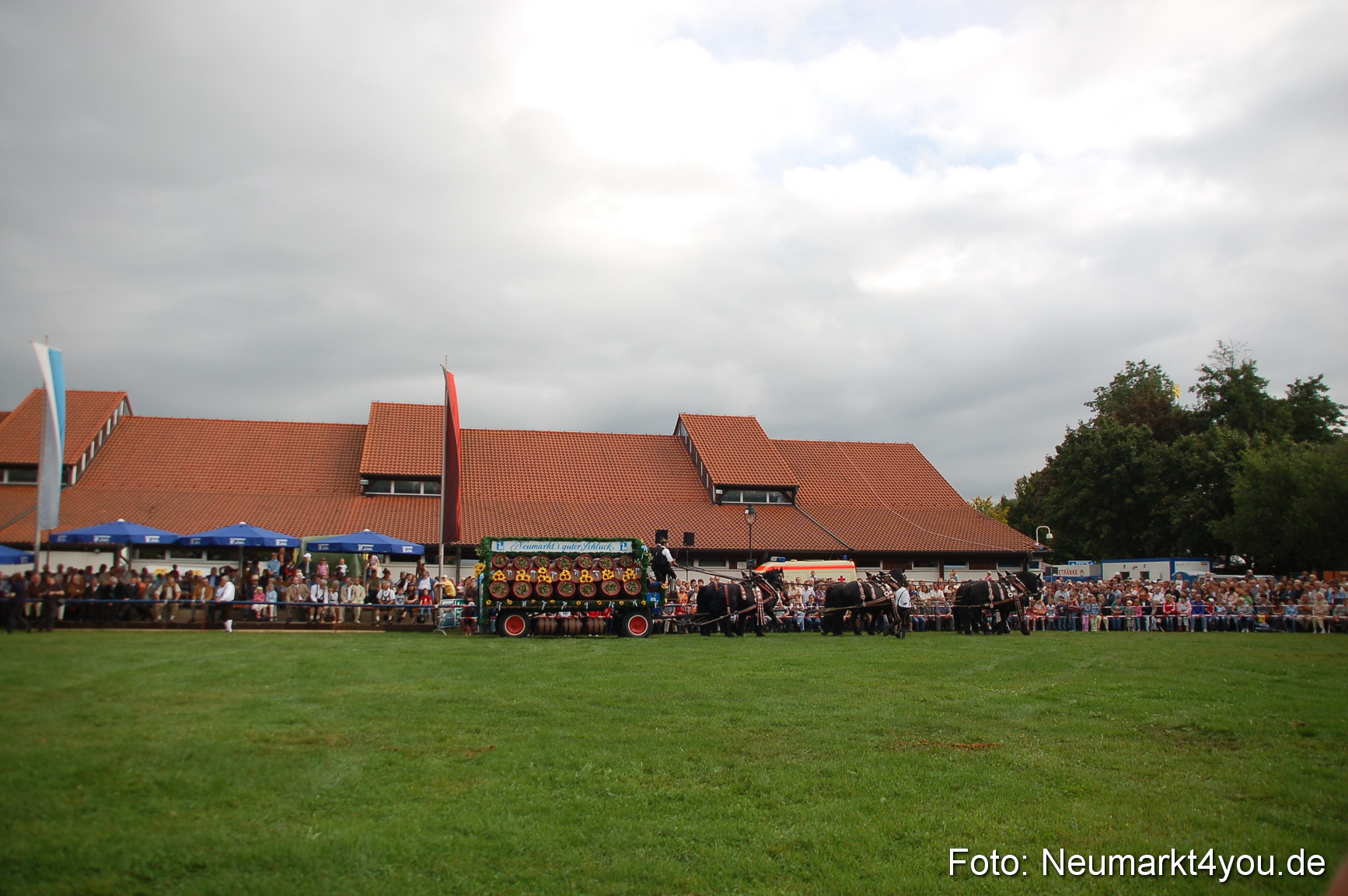 0046 Pferde Fohlenschau 200807