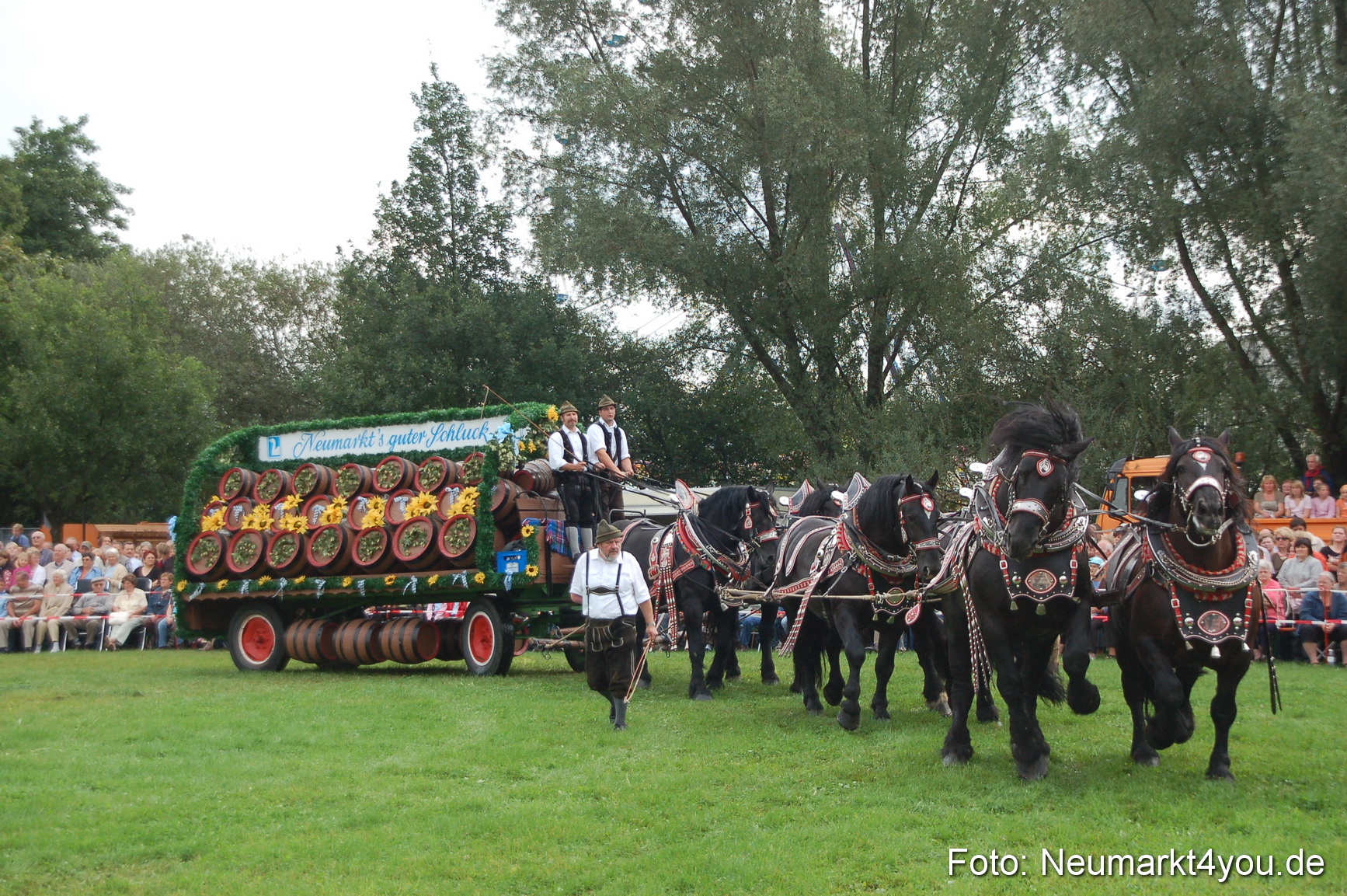 0050 Pferde Fohlenschau 200807