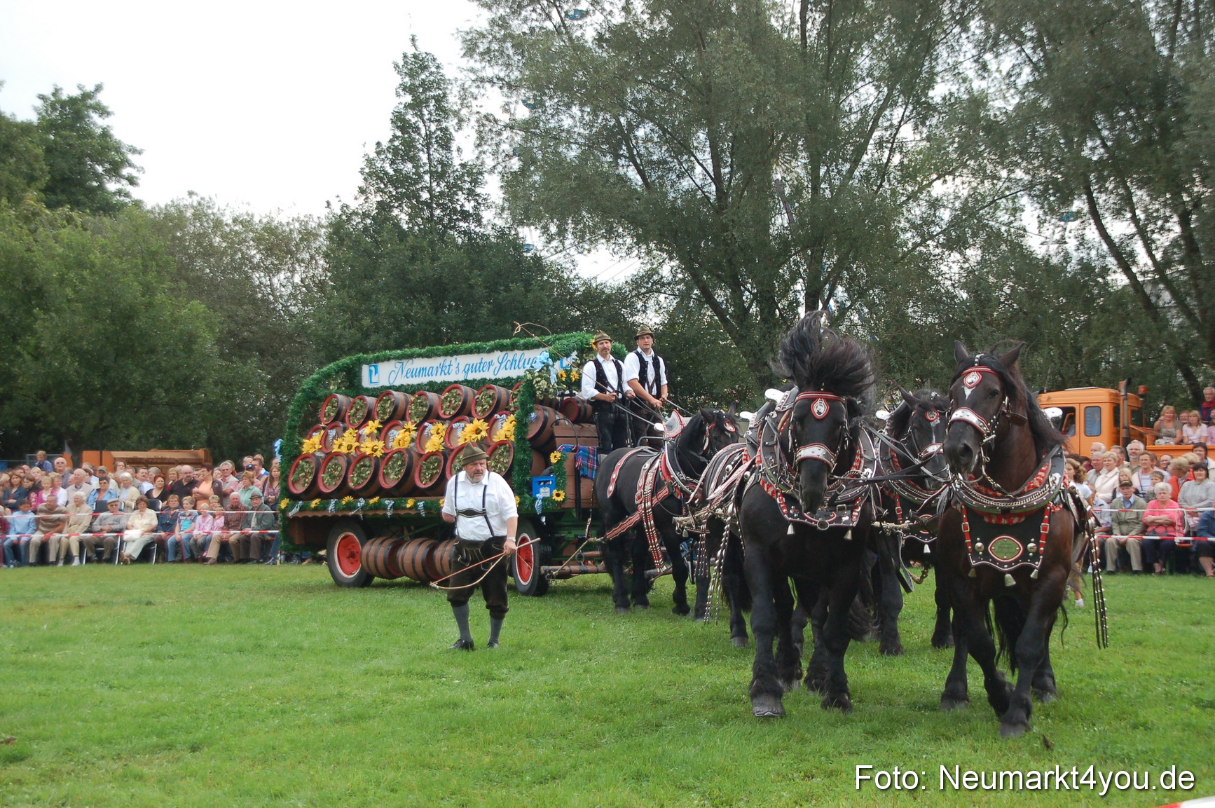 0051 Pferde Fohlenschau 200807