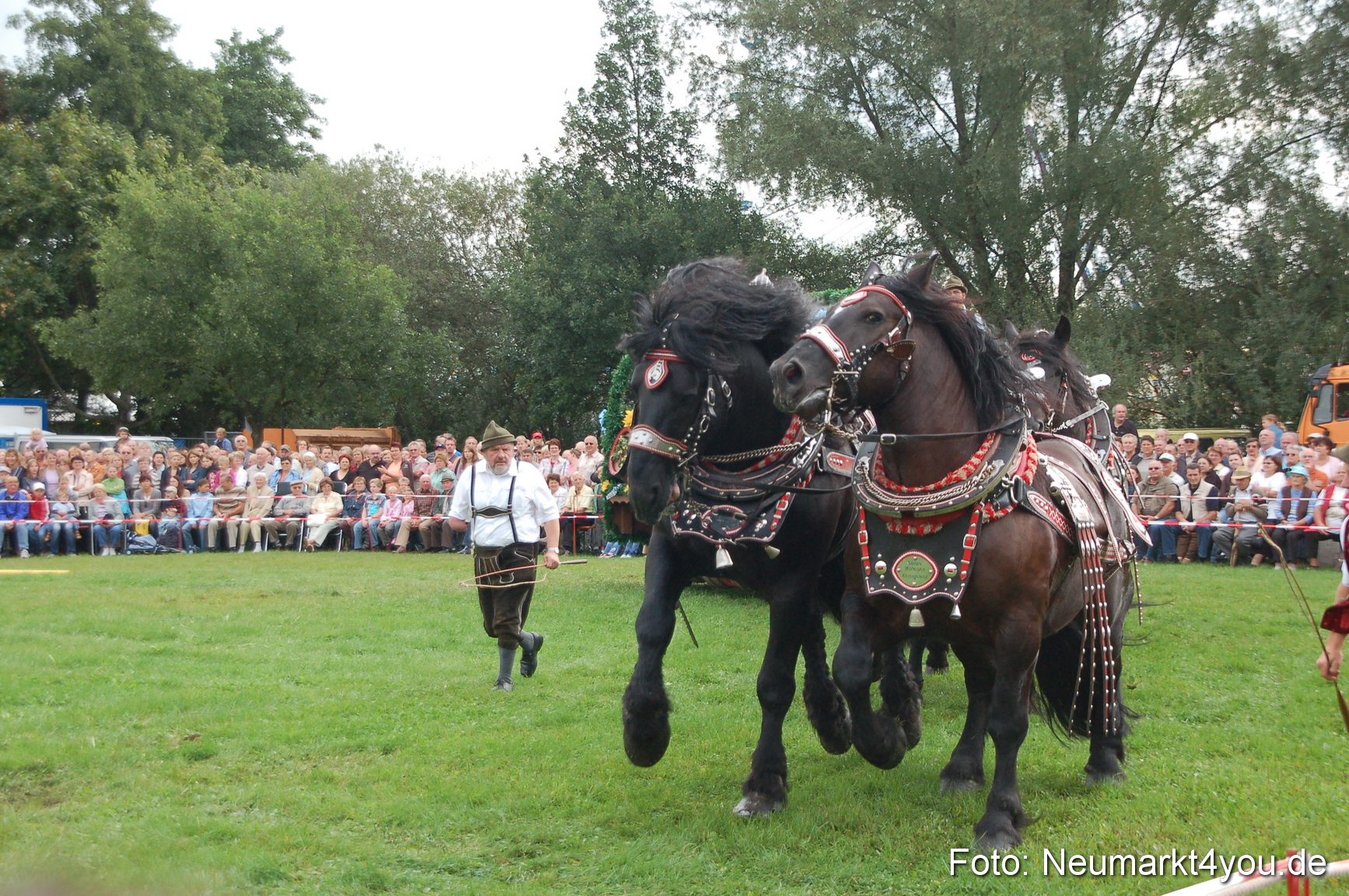 0052 Pferde Fohlenschau 200807