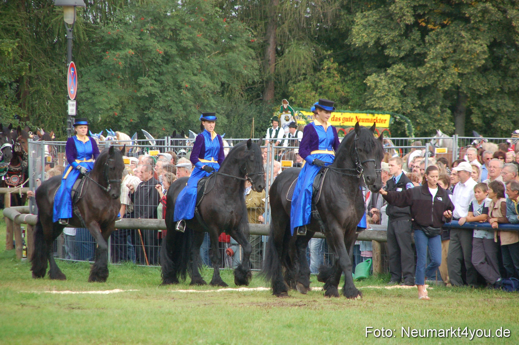 0055 Pferde Fohlenschau 200807