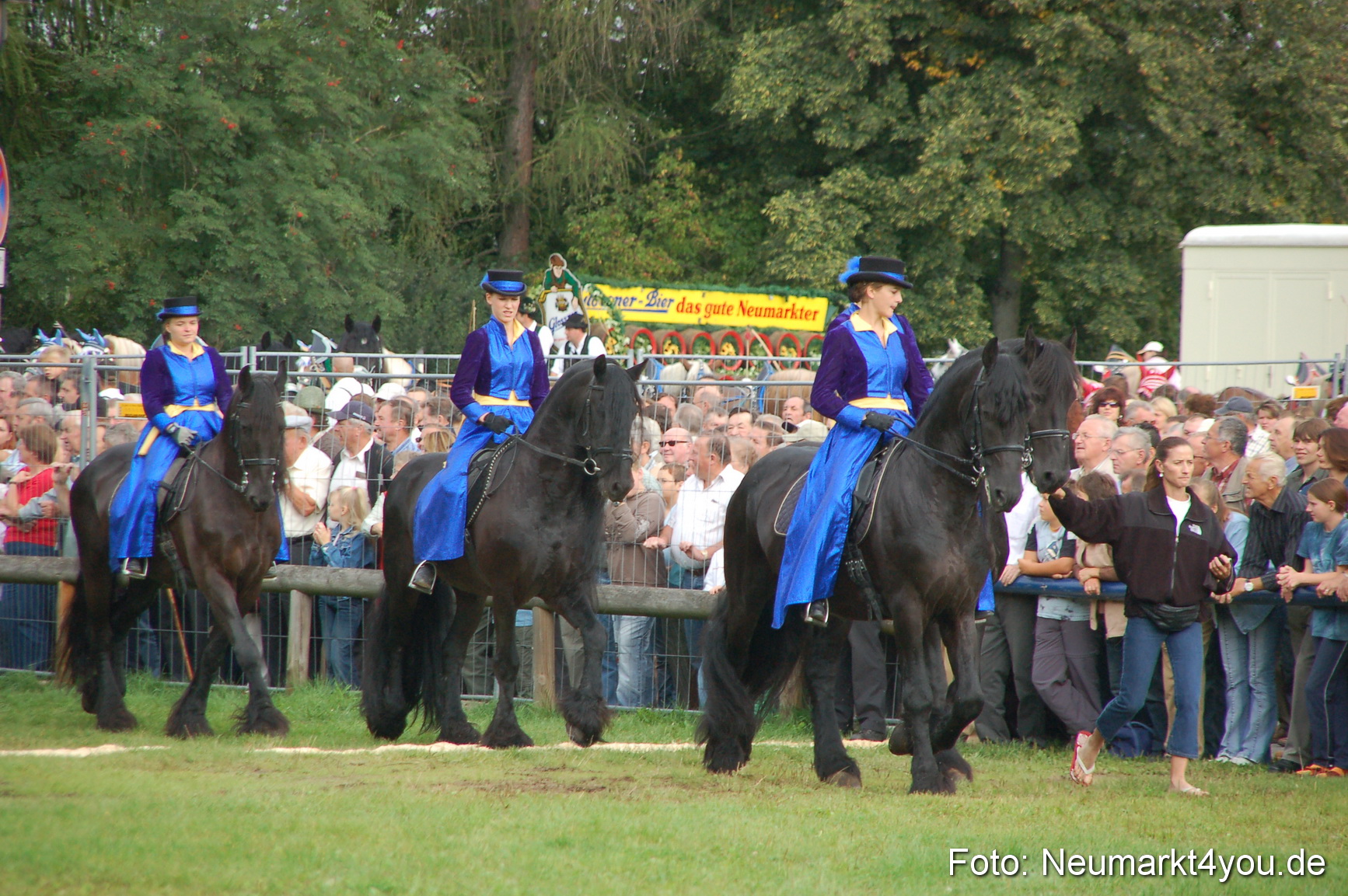0056 Pferde Fohlenschau 200807