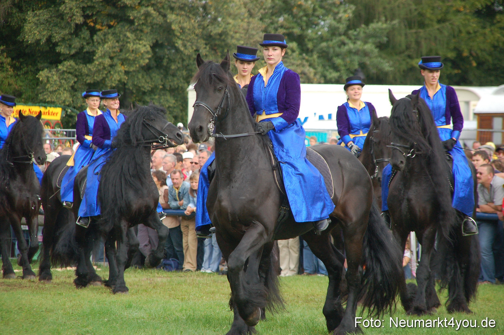0058 Pferde Fohlenschau 200807