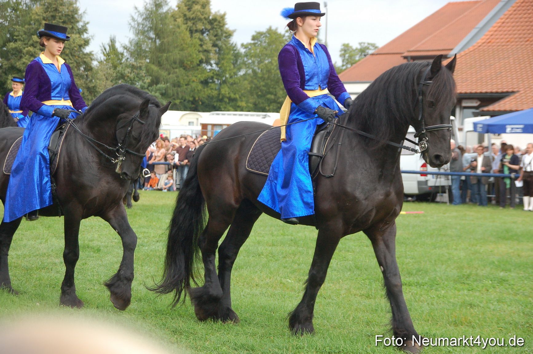 0061 Pferde Fohlenschau 200807
