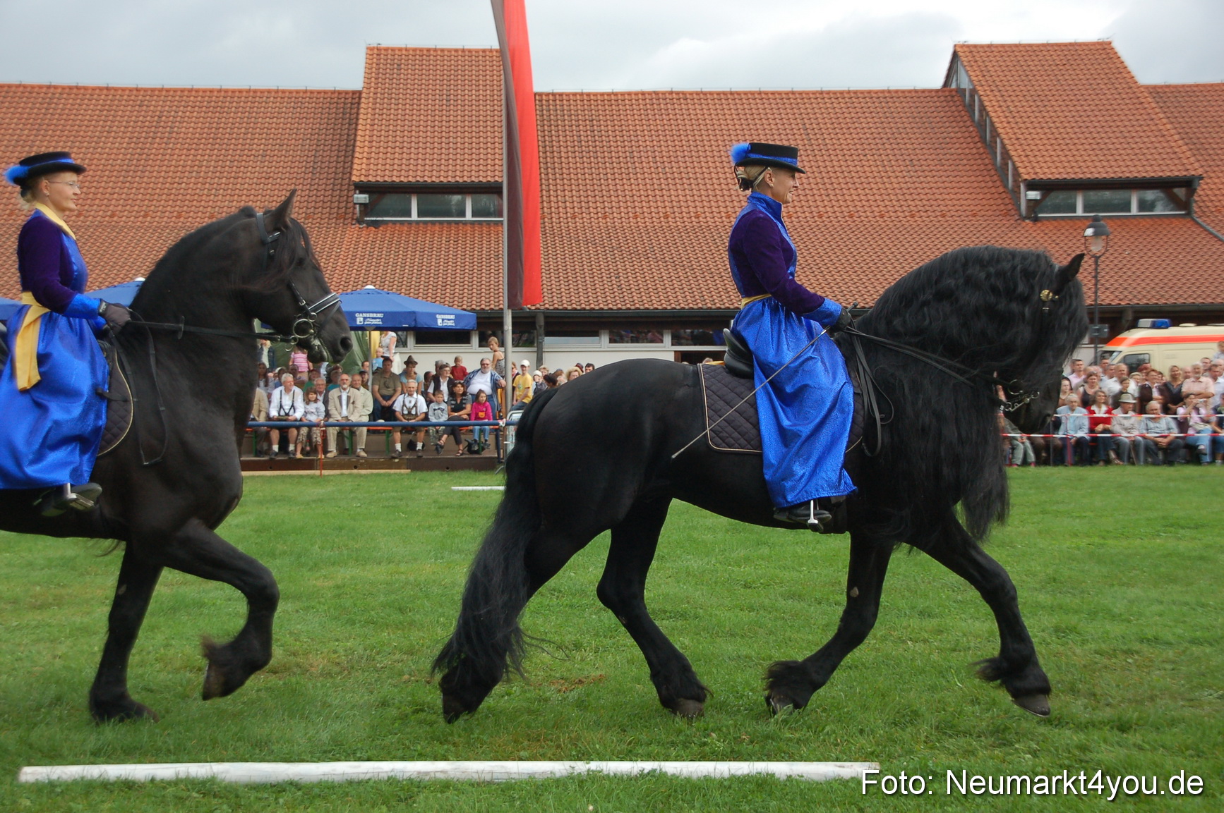 0062 Pferde Fohlenschau 200807