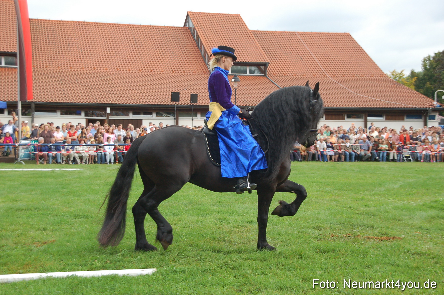 0063 Pferde Fohlenschau 200807