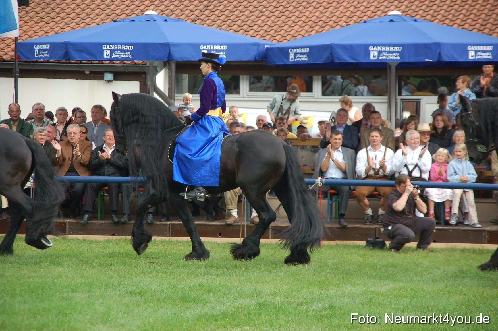 0064 Pferde Fohlenschau 200807