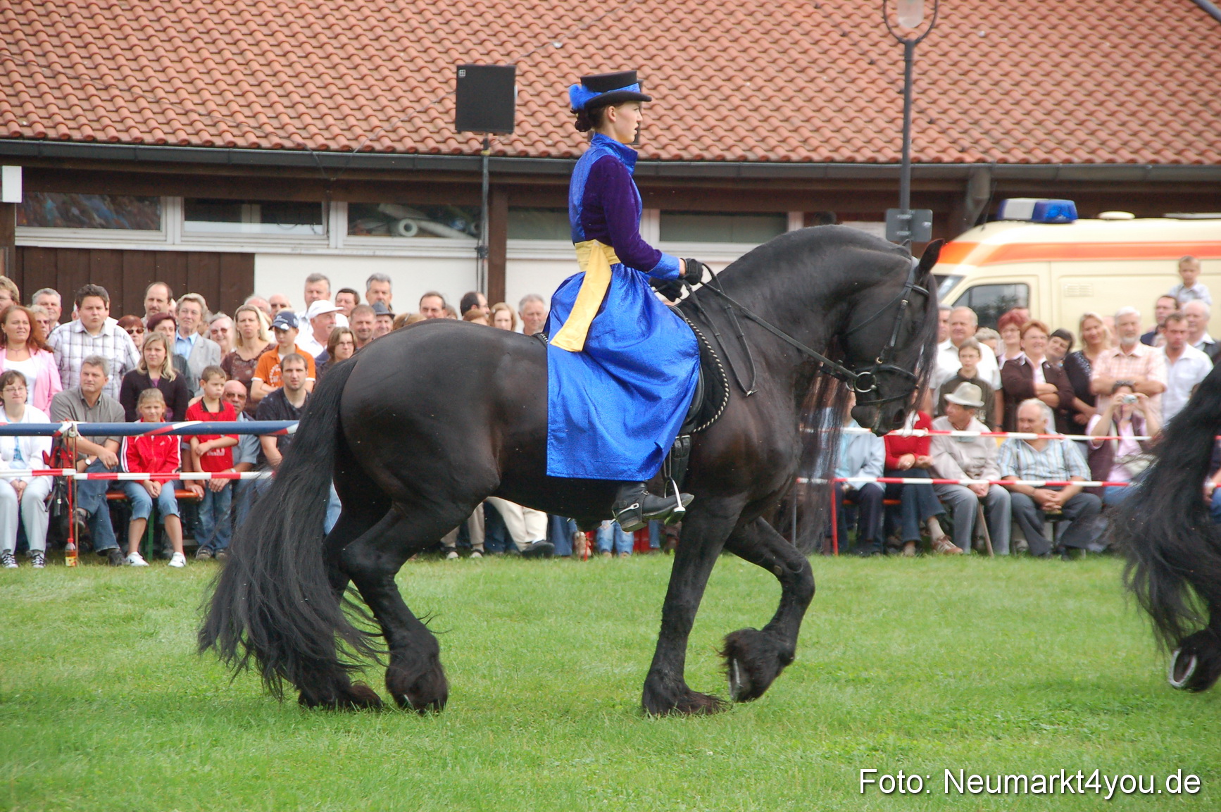 0065 Pferde Fohlenschau 200807