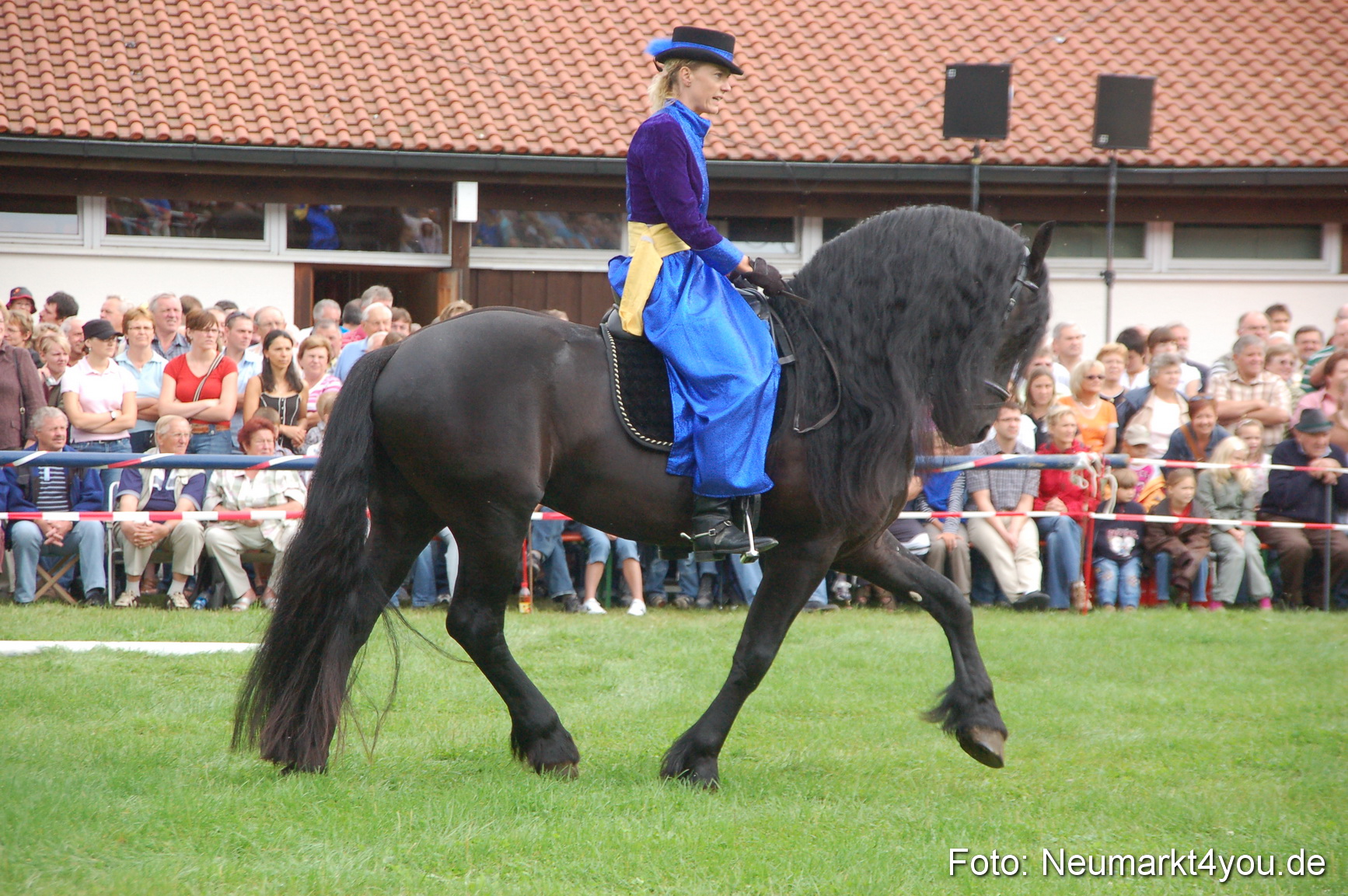 0066 Pferde Fohlenschau 200807