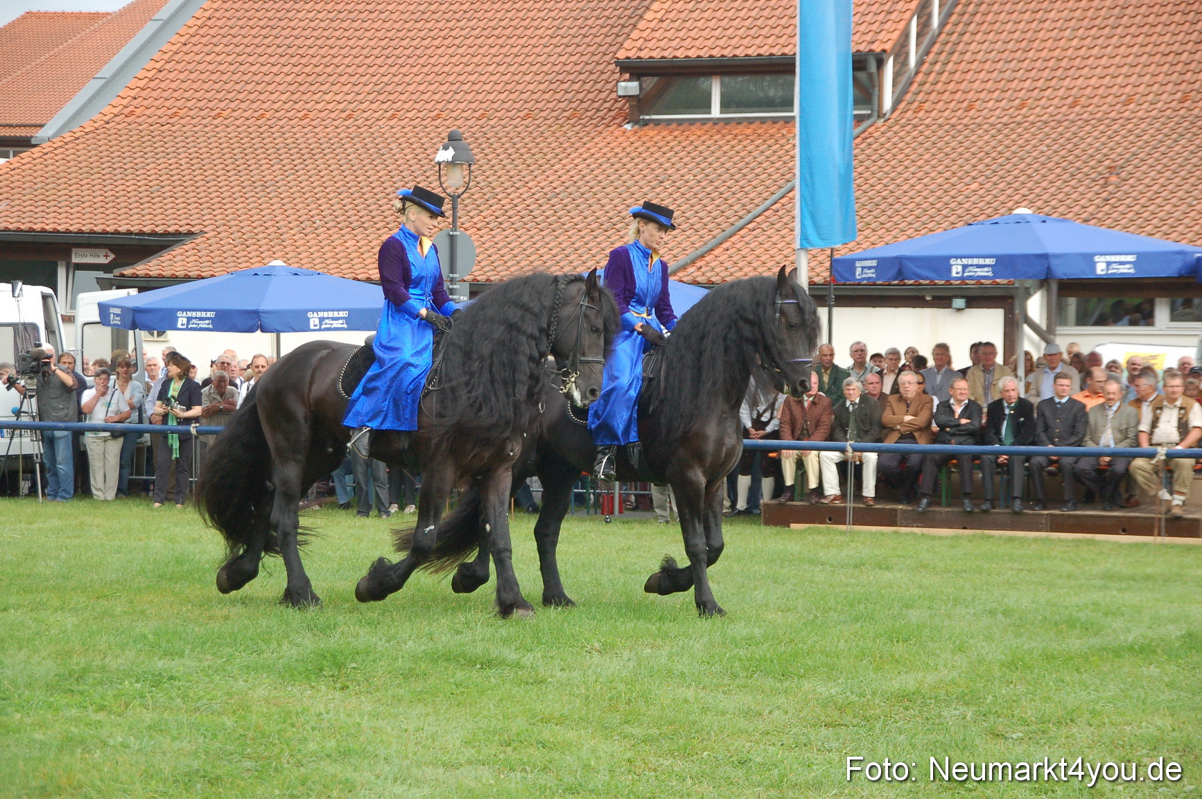 0070 Pferde Fohlenschau 200807