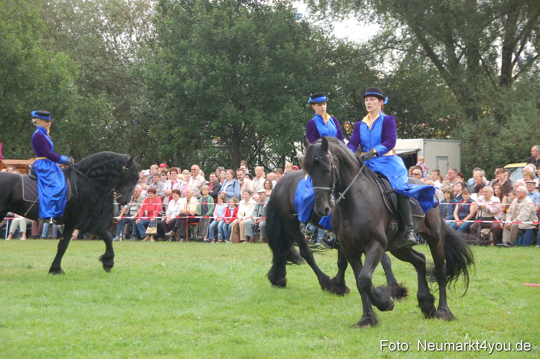 0071 Pferde Fohlenschau 200807