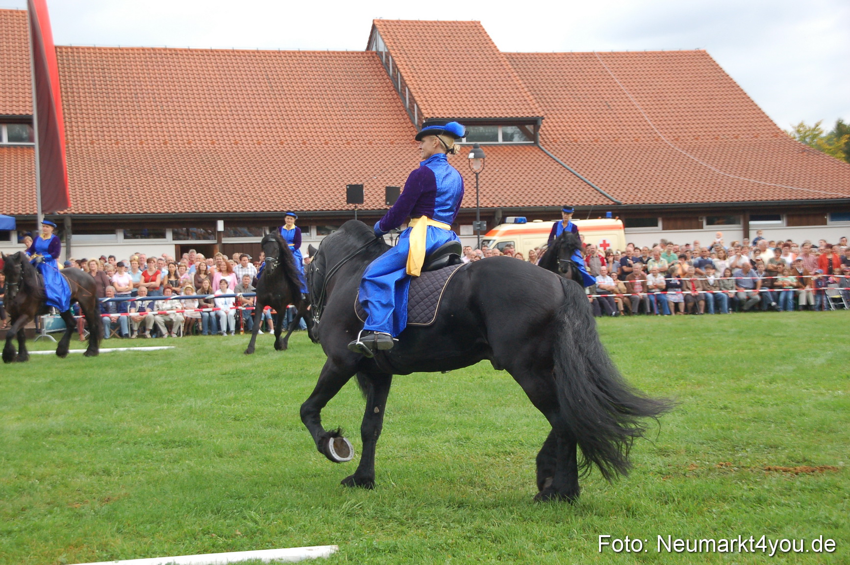 0072 Pferde Fohlenschau 200807