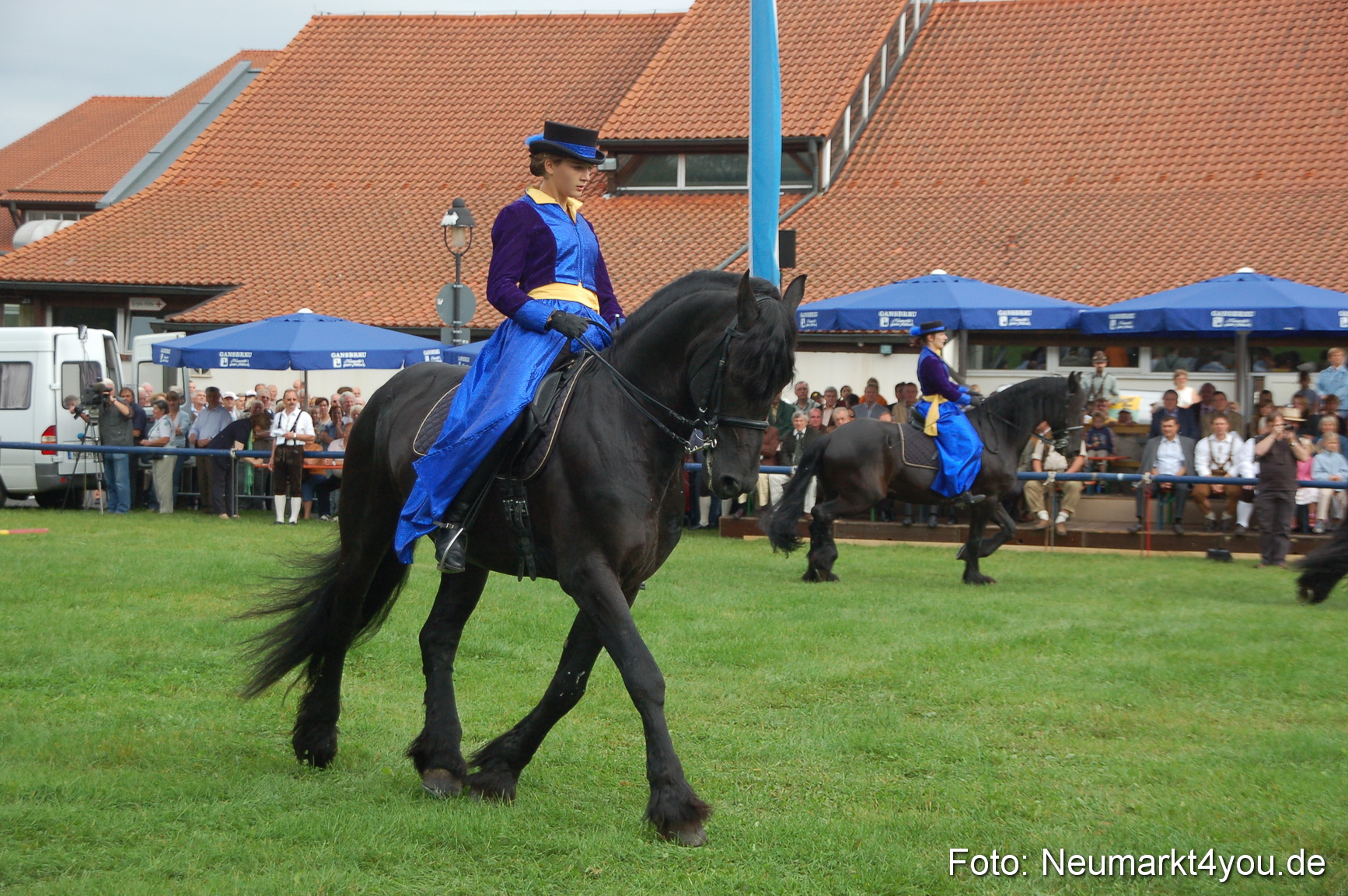 0073 Pferde Fohlenschau 200807