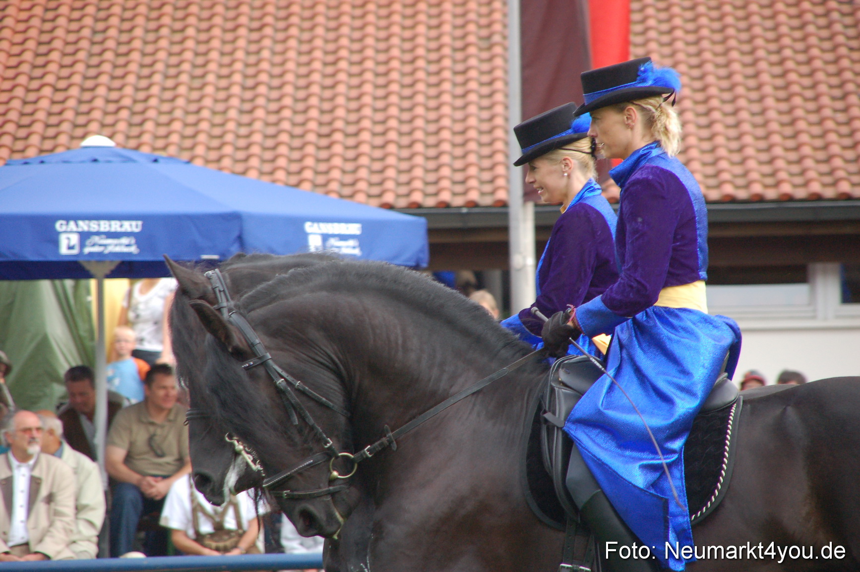 0074 Pferde Fohlenschau 200807