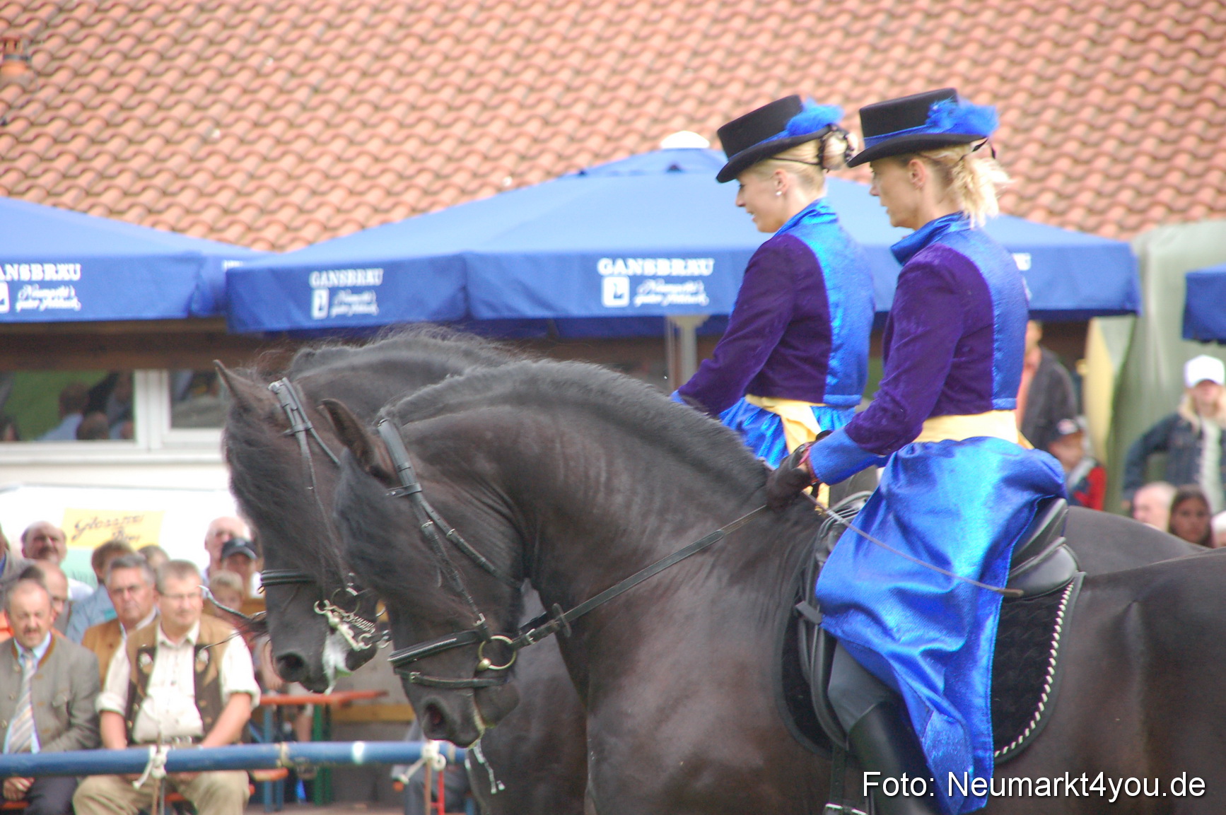 0075 Pferde Fohlenschau 200807