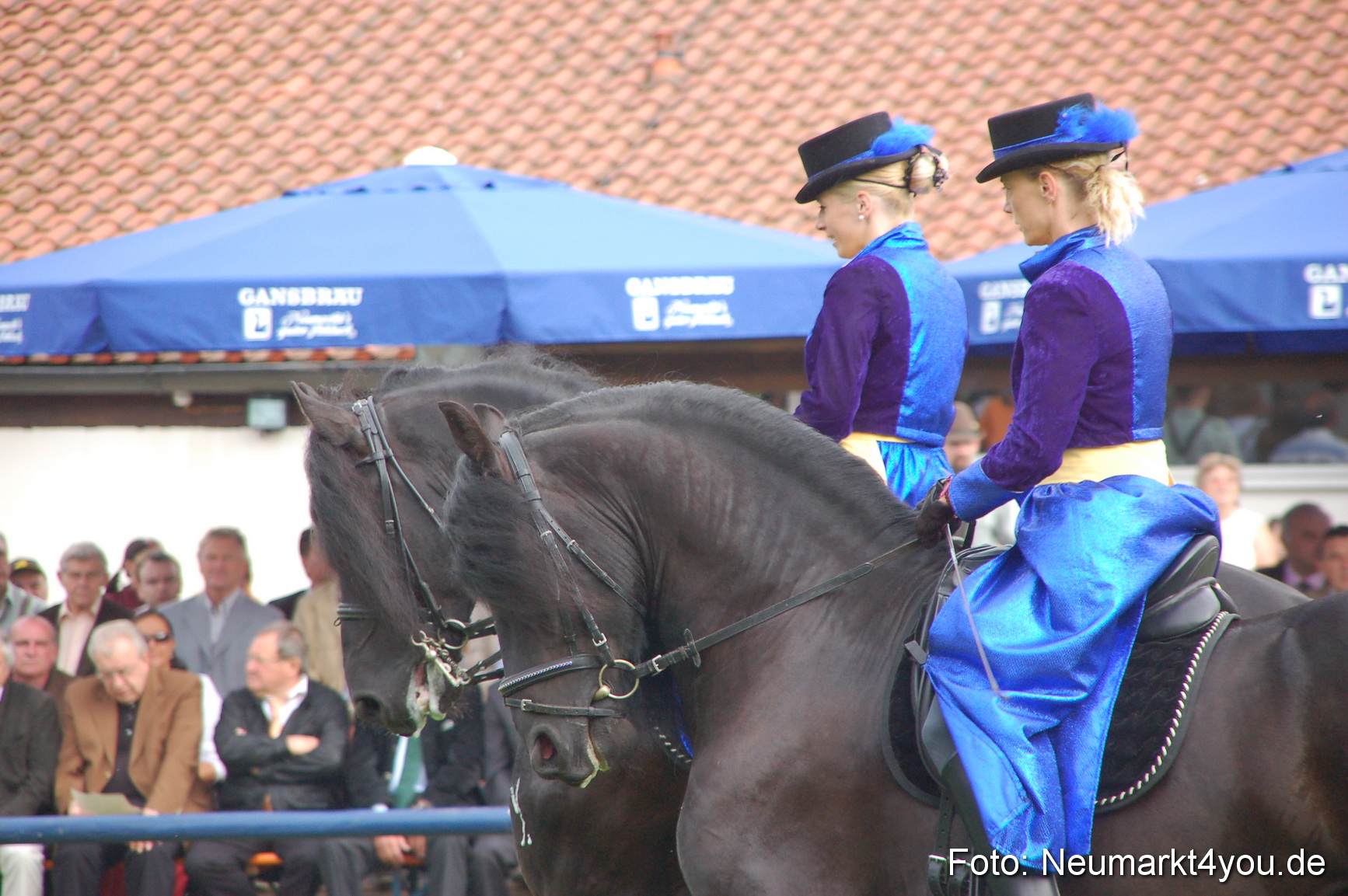 0076 Pferde Fohlenschau 200807