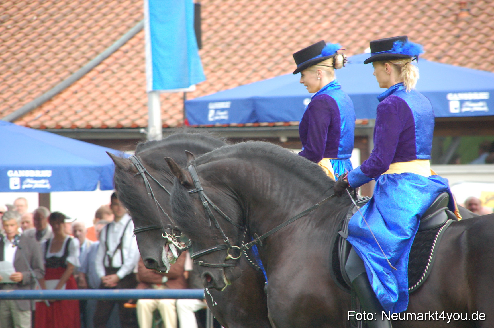 0077 Pferde Fohlenschau 200807