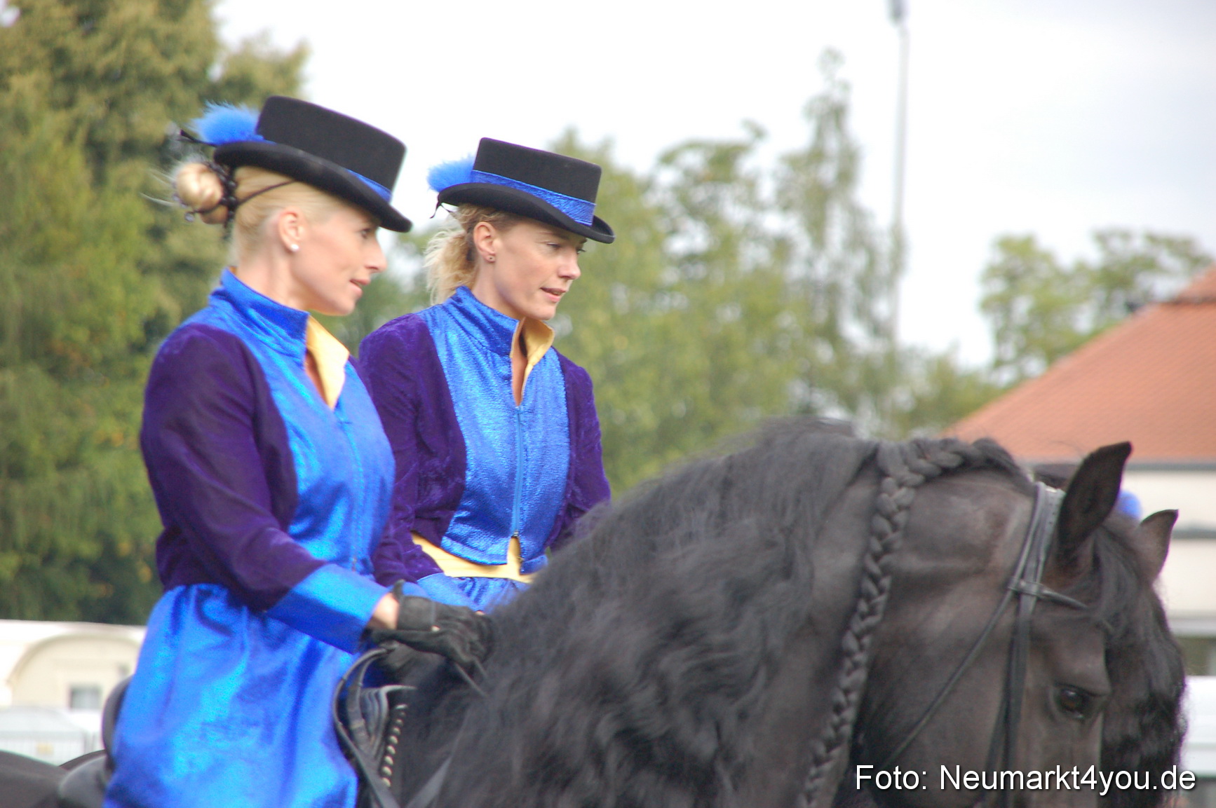 0078 Pferde Fohlenschau 200807