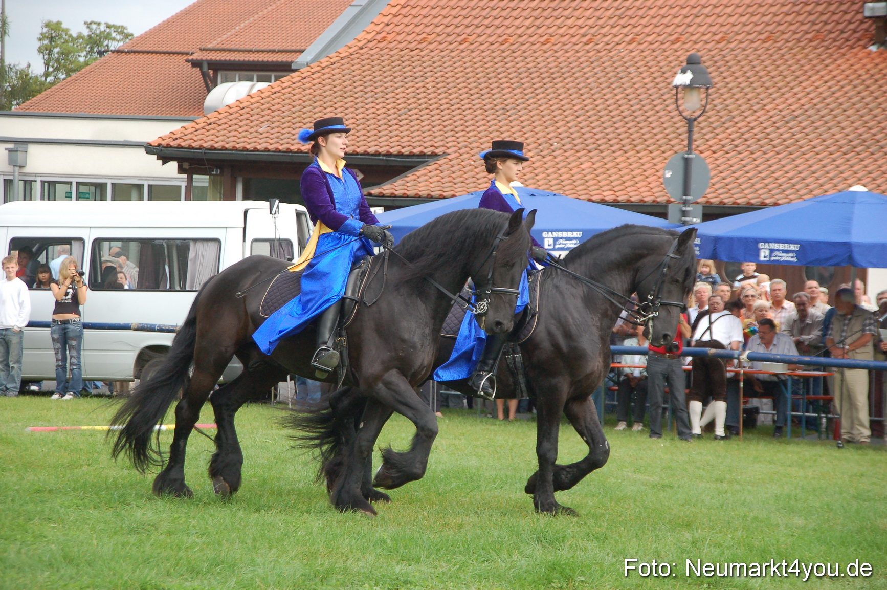 0080 Pferde Fohlenschau 200807