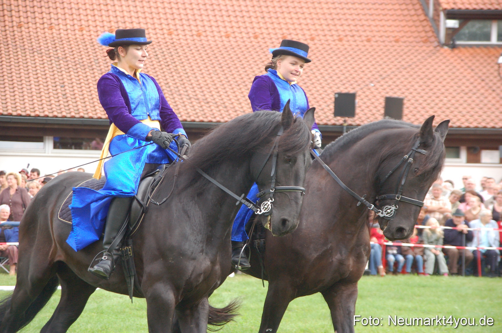 0081 Pferde Fohlenschau 200807